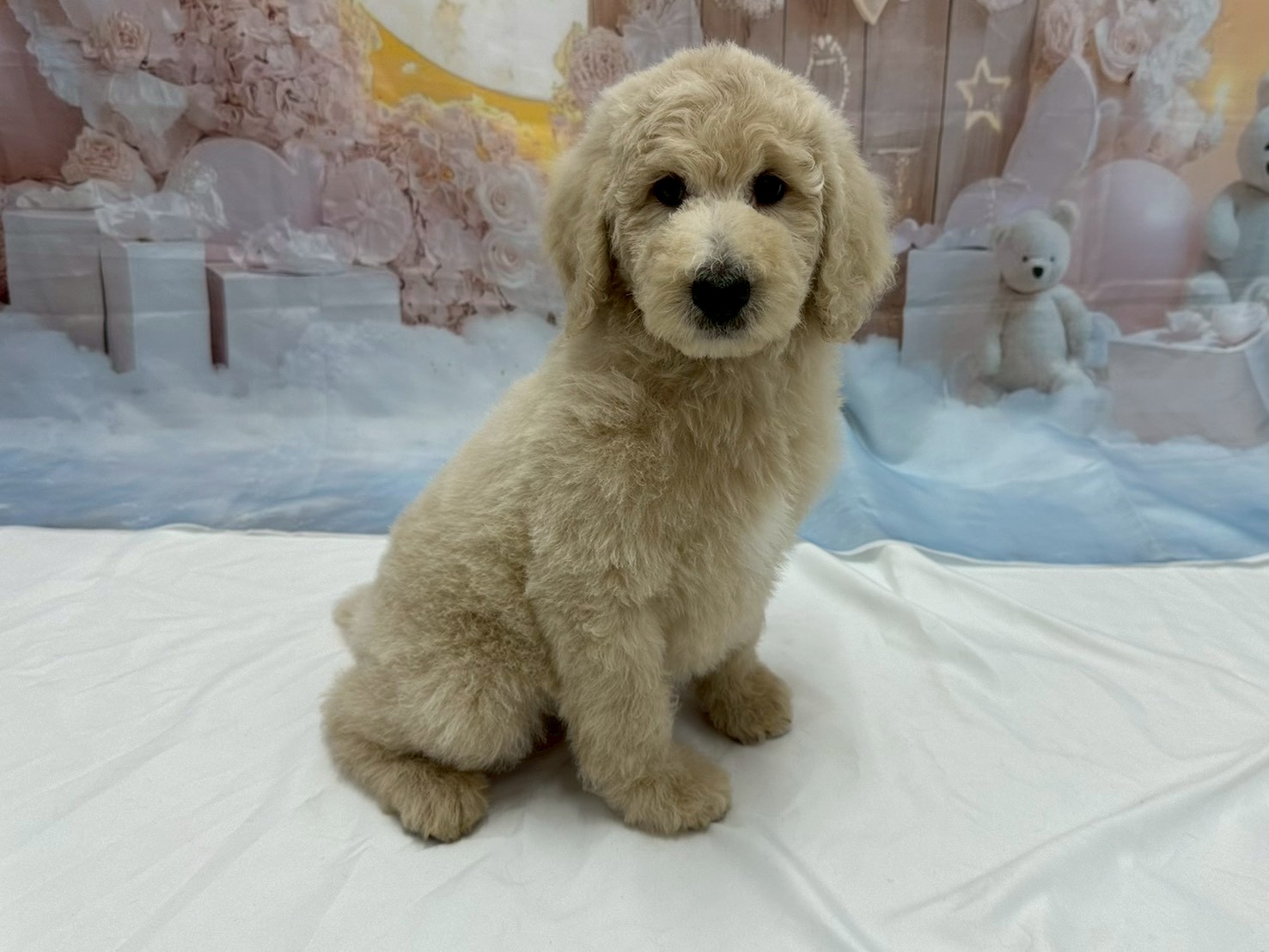 赤ちゃん写真3-2