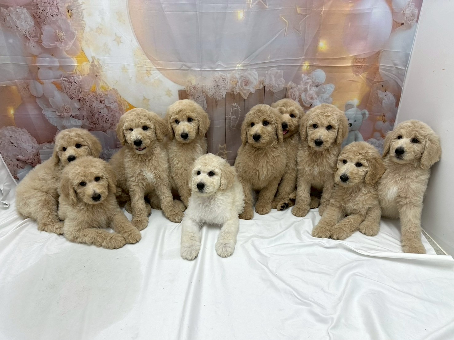 赤ちゃん写真3-3