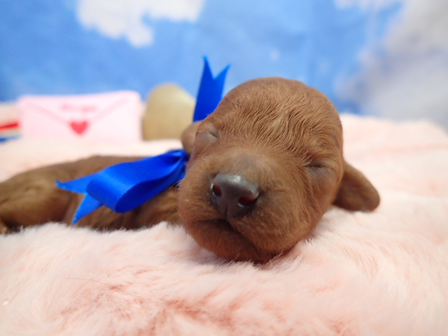 赤ちゃん写真1-1