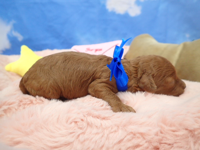 赤ちゃん写真1-2