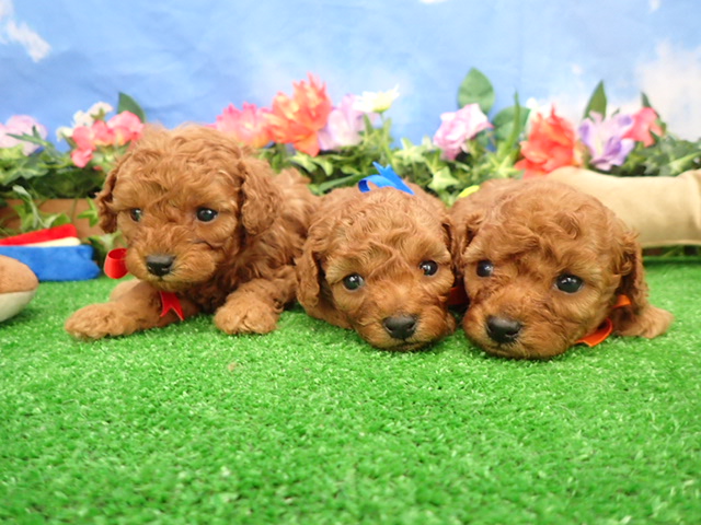 赤ちゃん写真2-3