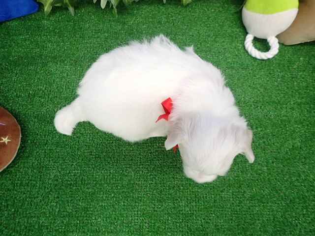 赤ちゃん写真2-3