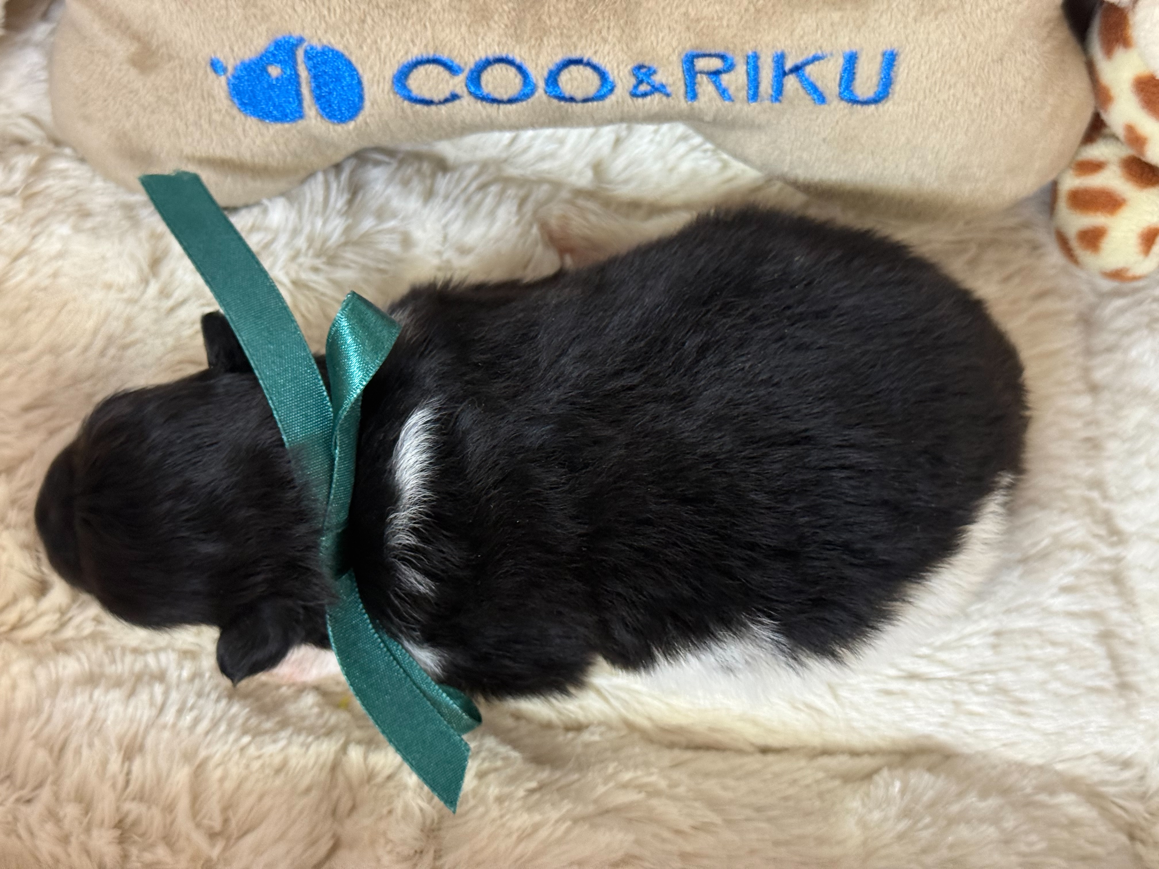 赤ちゃん写真1-3