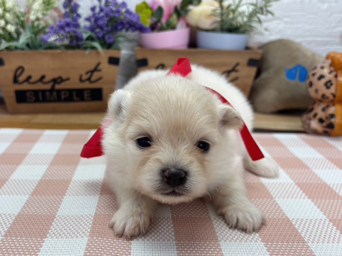 赤ちゃん写真2-1