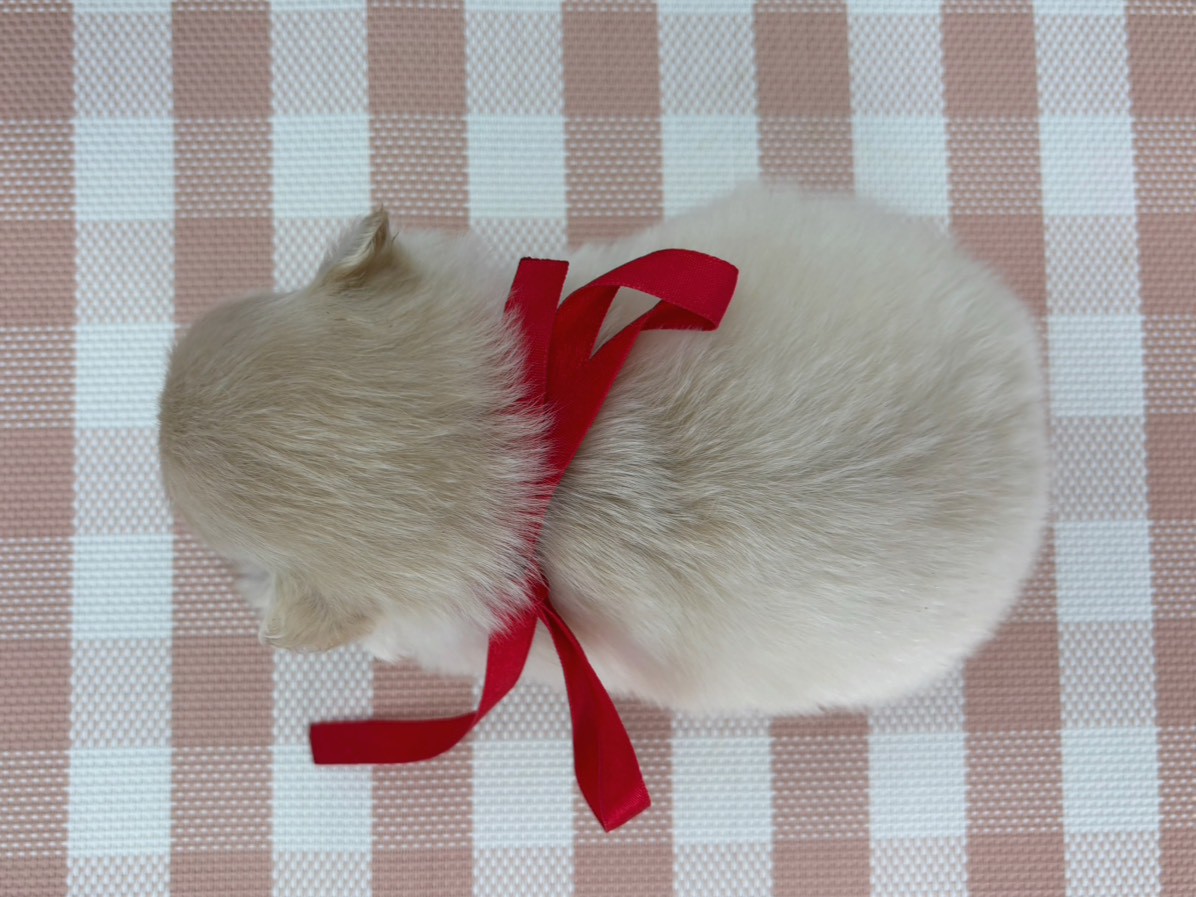 赤ちゃん写真2-3