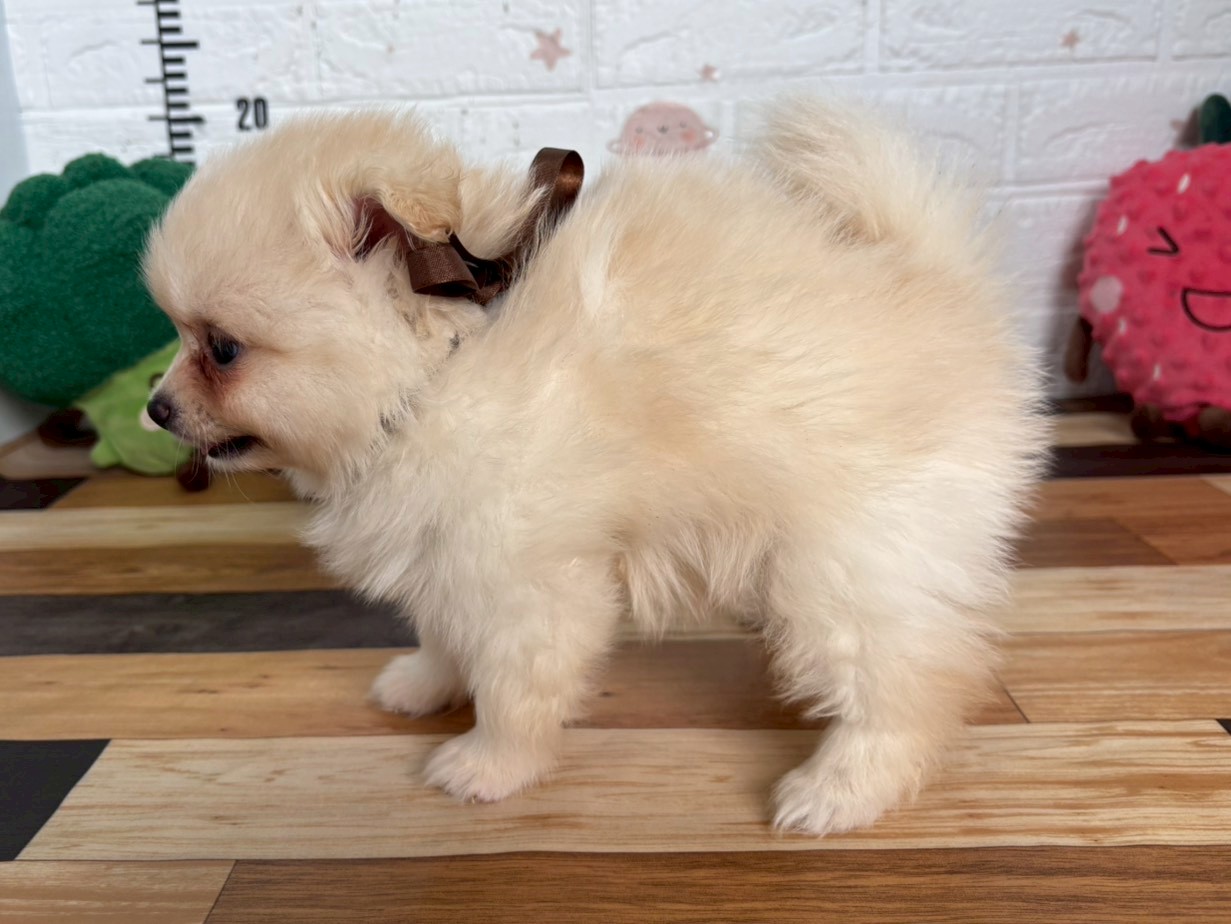 赤ちゃん写真3-2