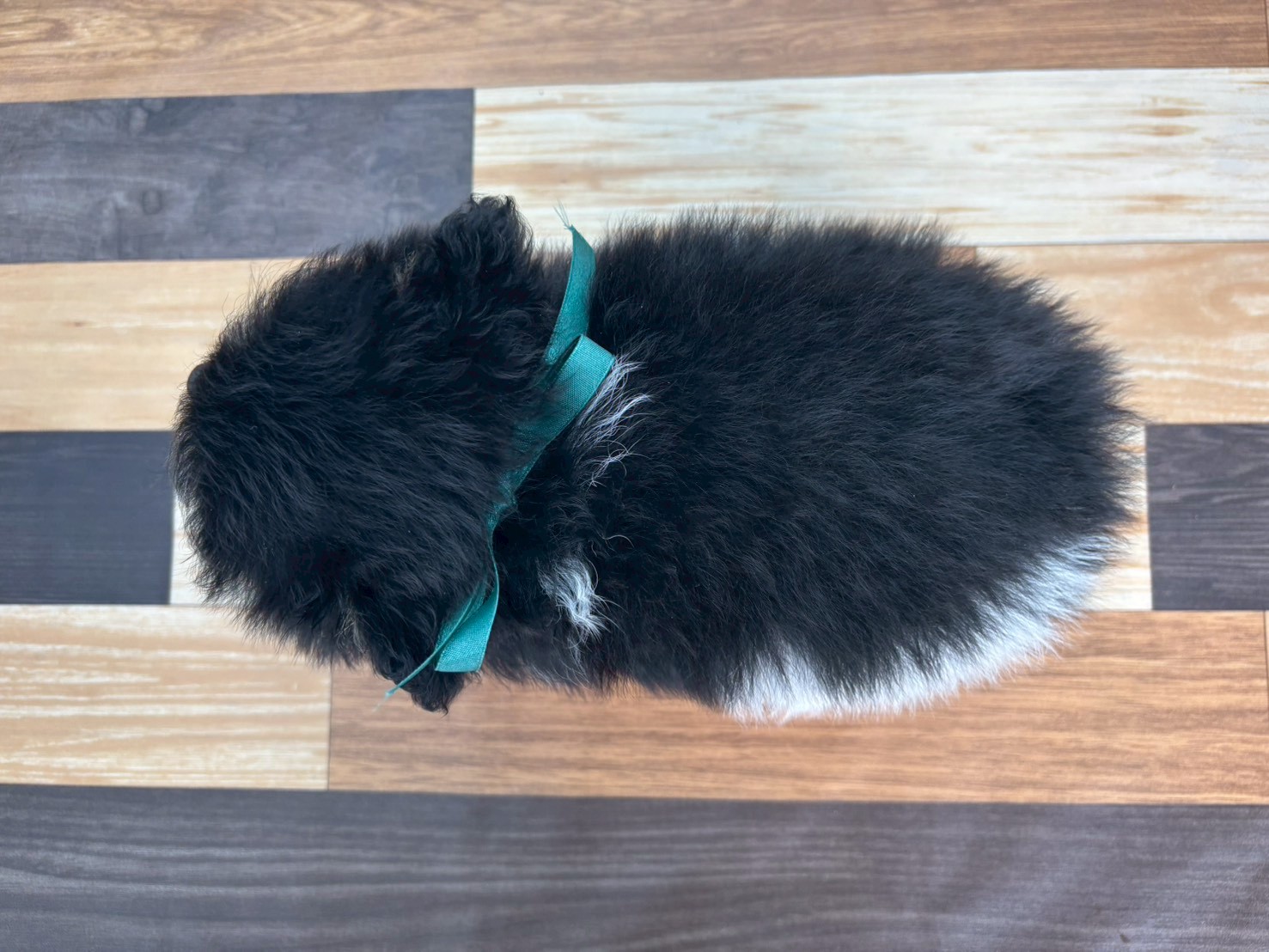 赤ちゃん写真3-3