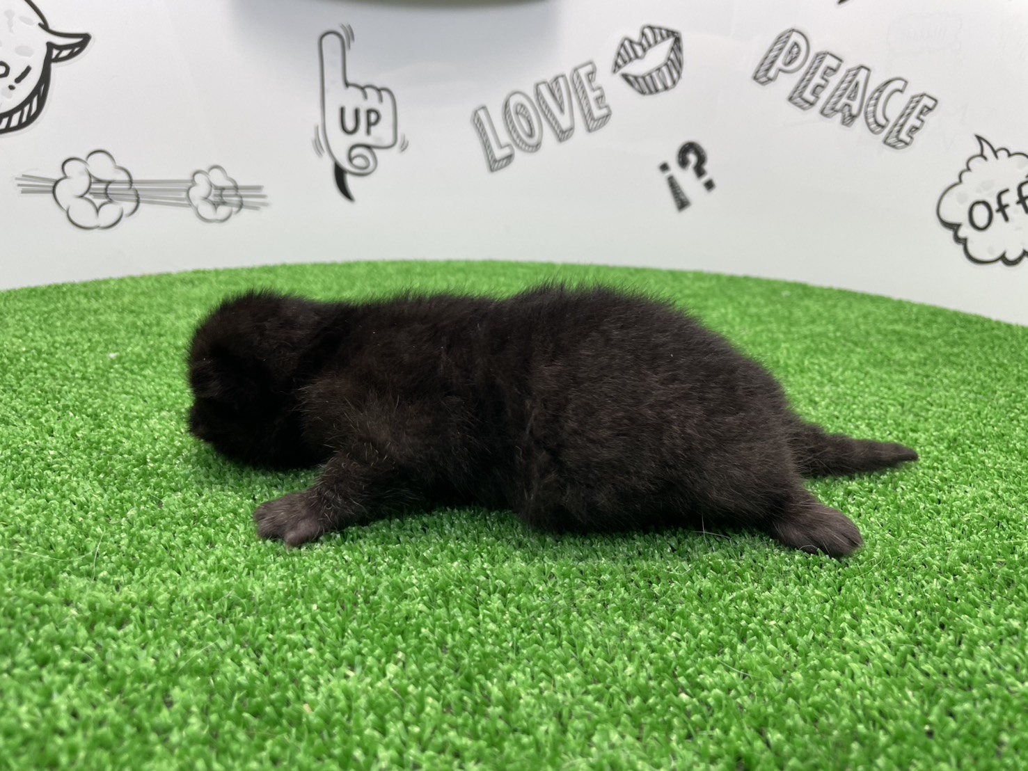 赤ちゃん写真1-2