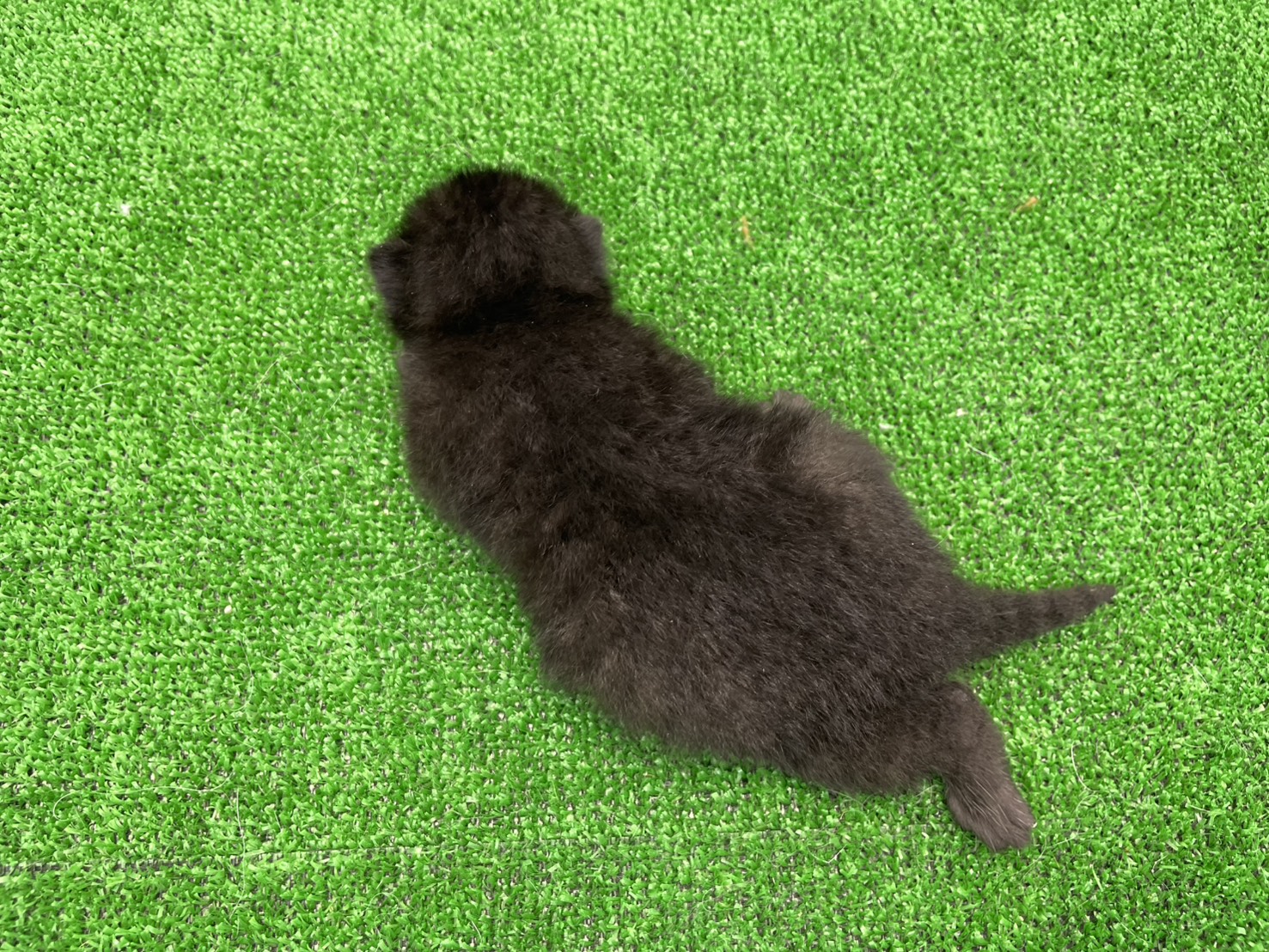赤ちゃん写真1-3