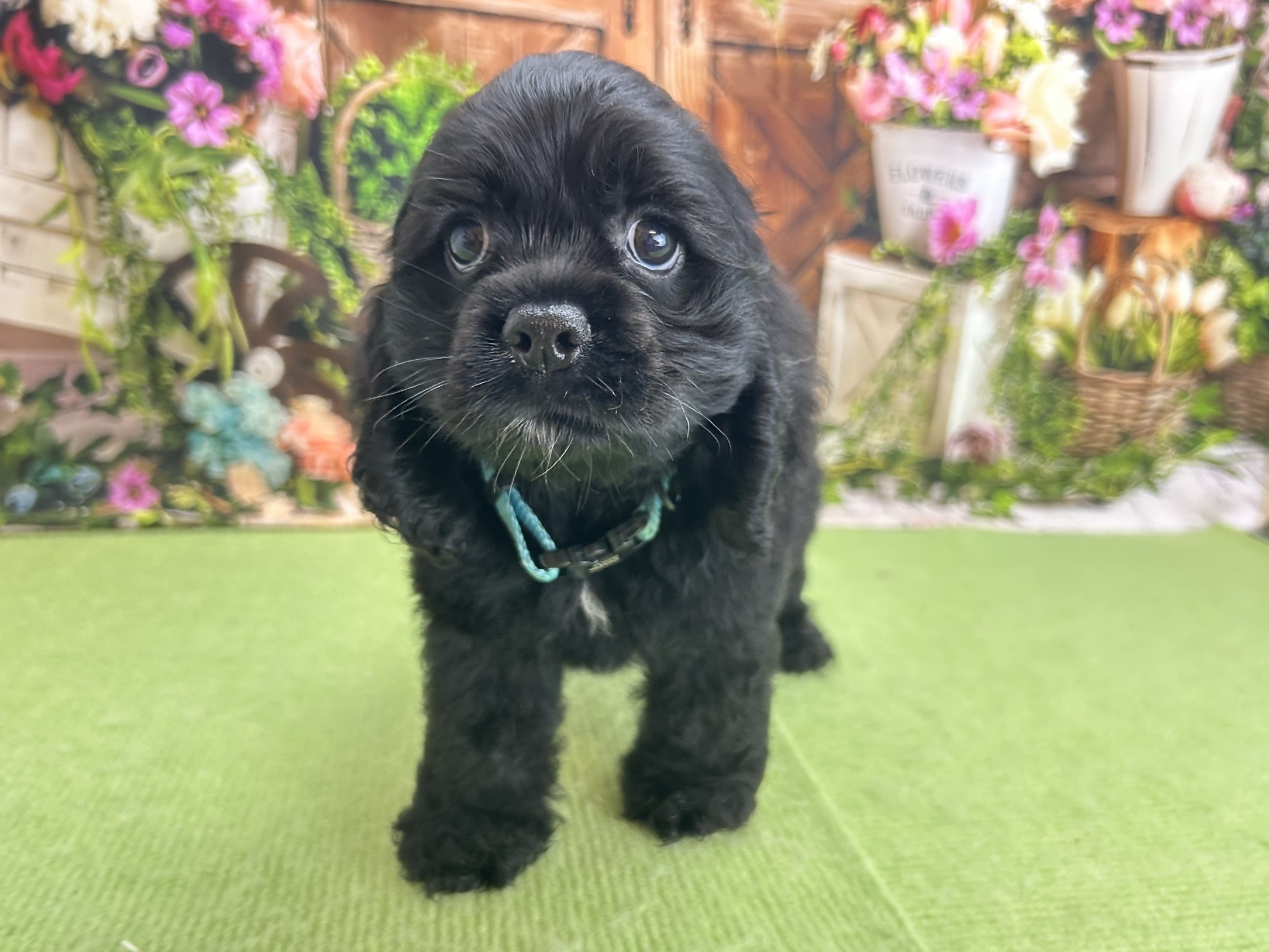 赤ちゃん写真2-1