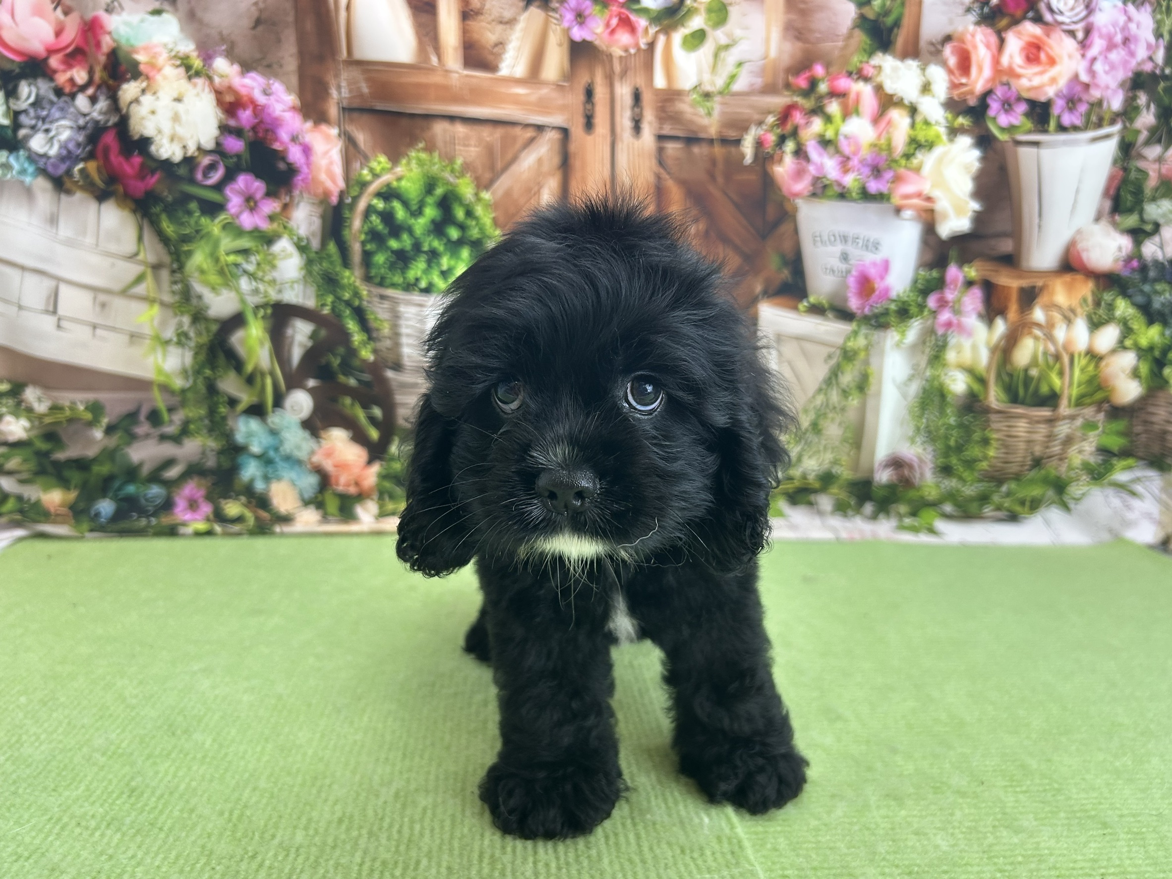 赤ちゃん写真2-1