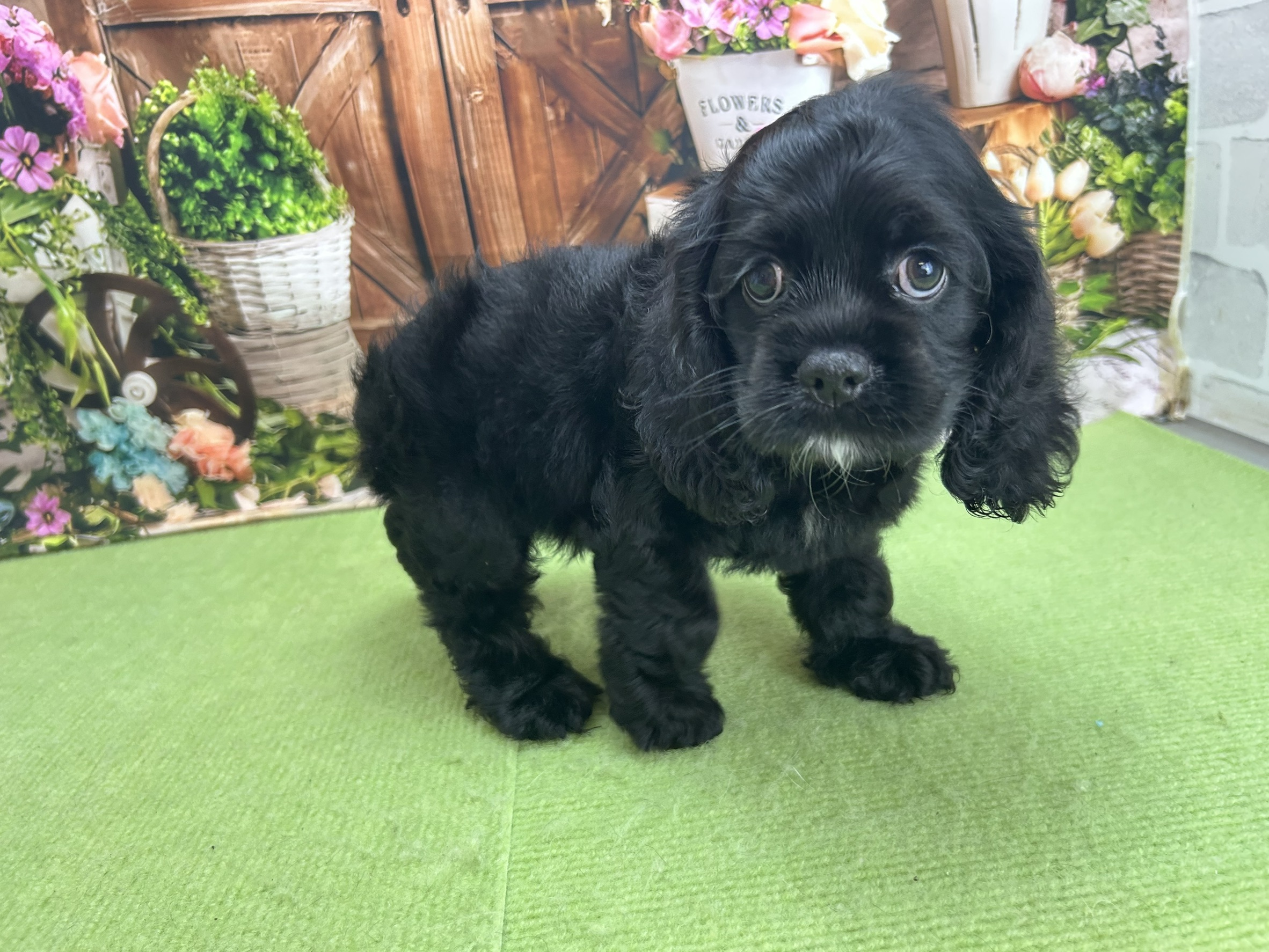 赤ちゃん写真2-2
