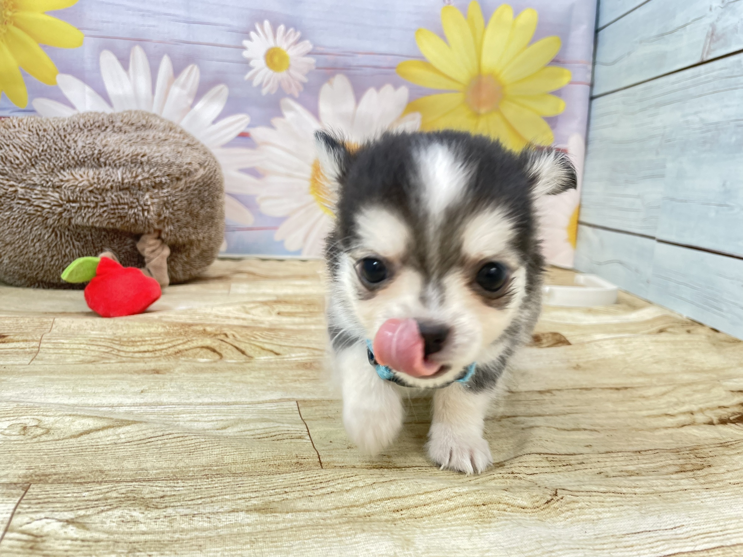 赤ちゃん写真2-1