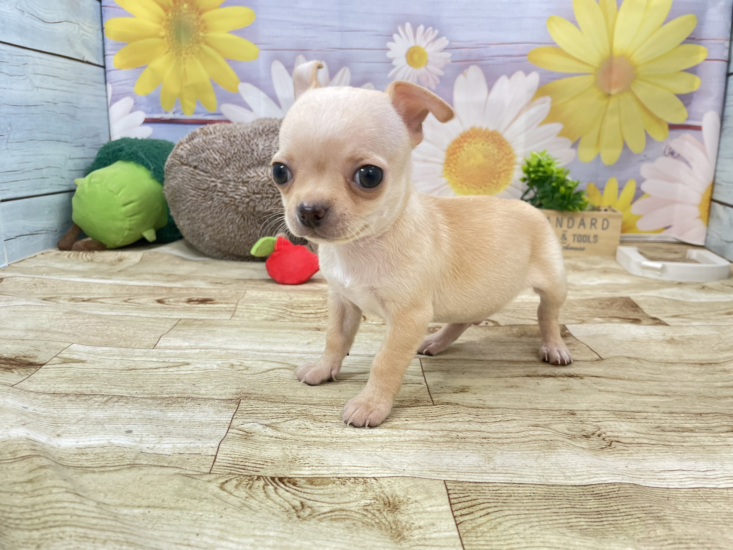 赤ちゃん写真2-2