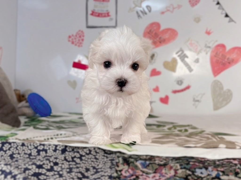 赤ちゃん写真2-1