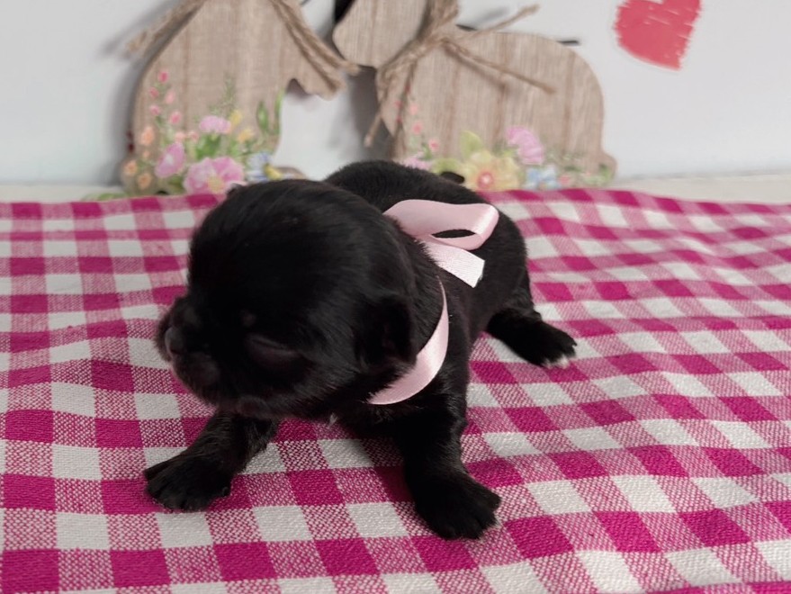 赤ちゃん写真1-1