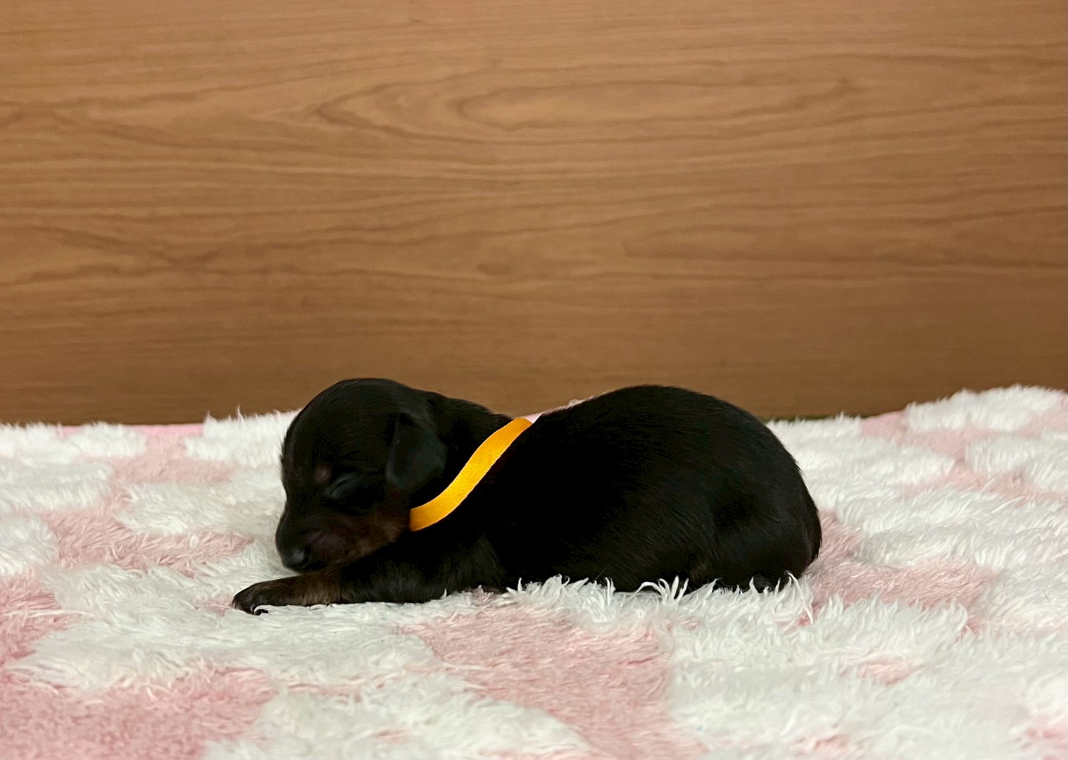 赤ちゃん写真1-2