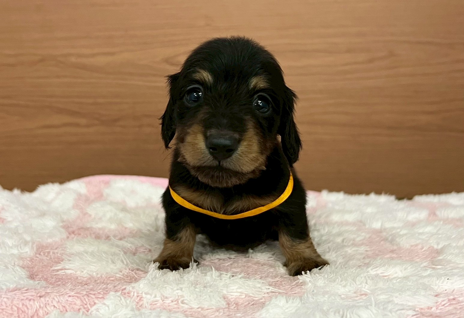 赤ちゃん写真2-1
