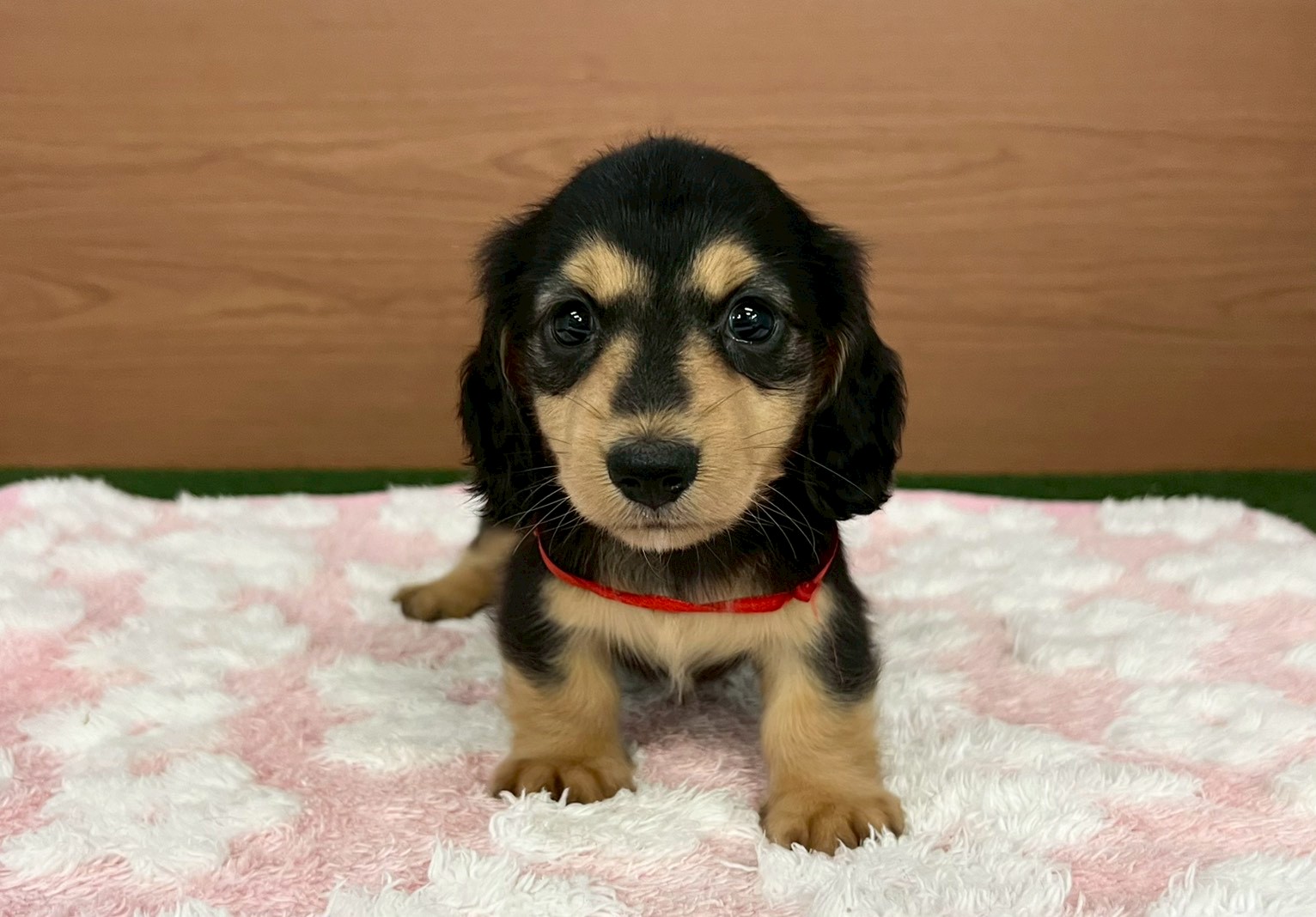 赤ちゃん写真3-1