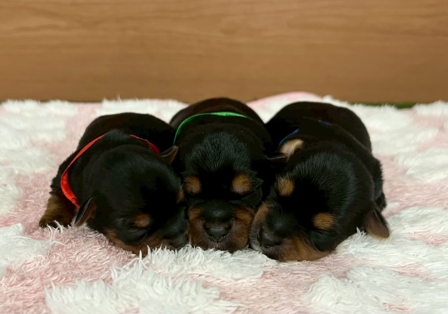 赤ちゃん写真1-3