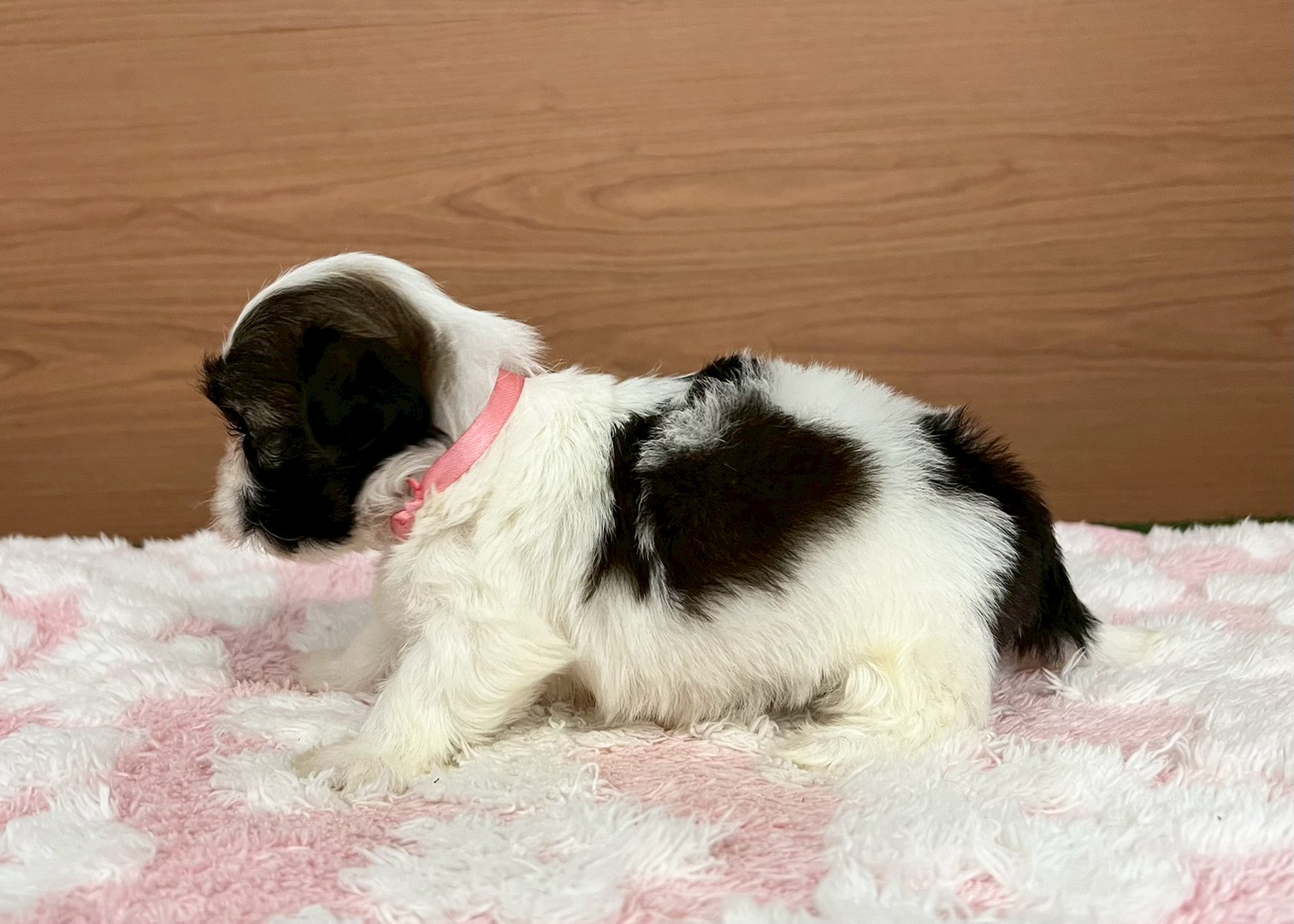 赤ちゃん写真2-2