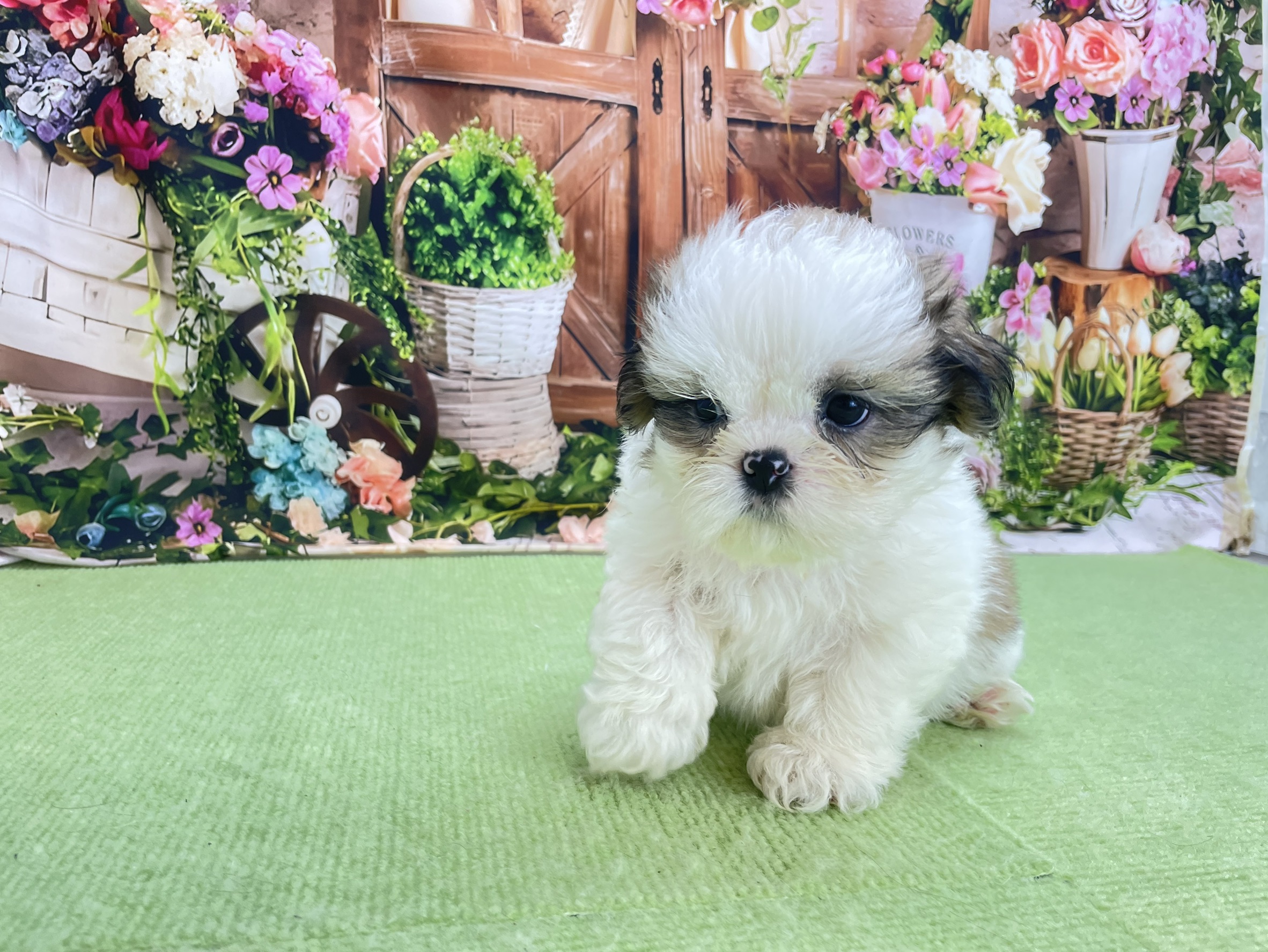 赤ちゃん写真2-1