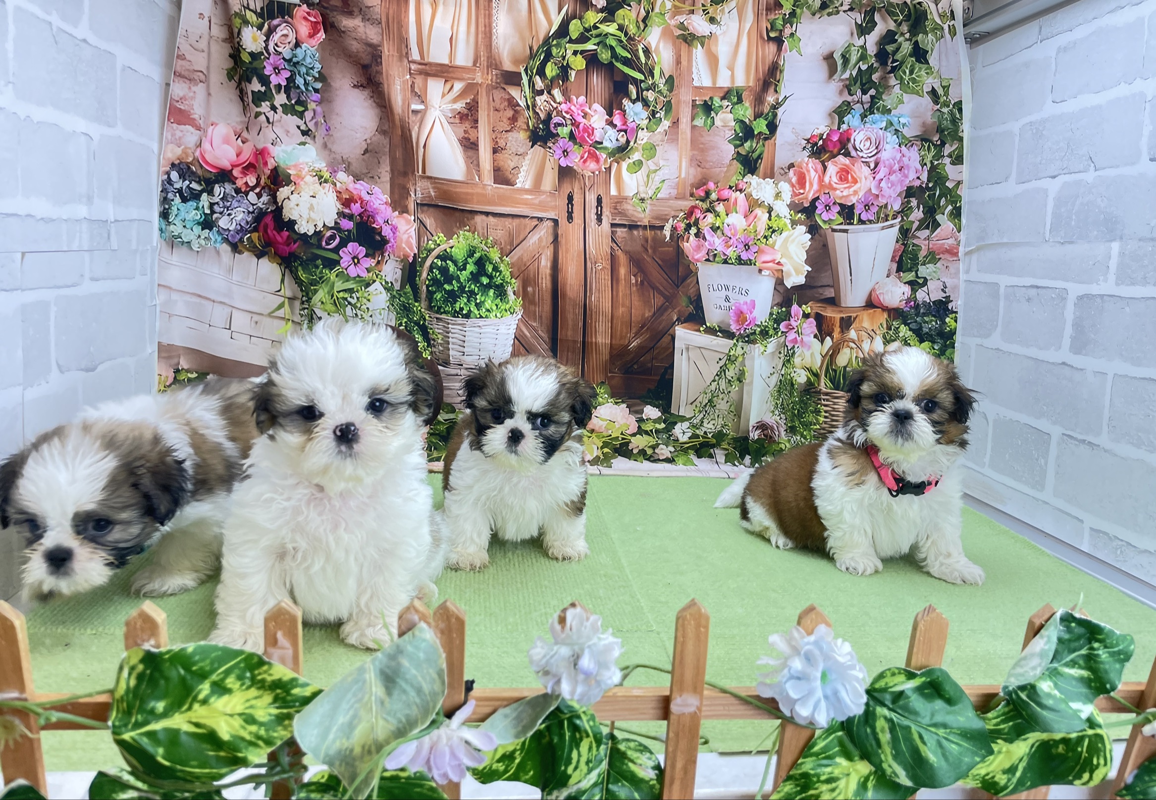 赤ちゃん写真2-3