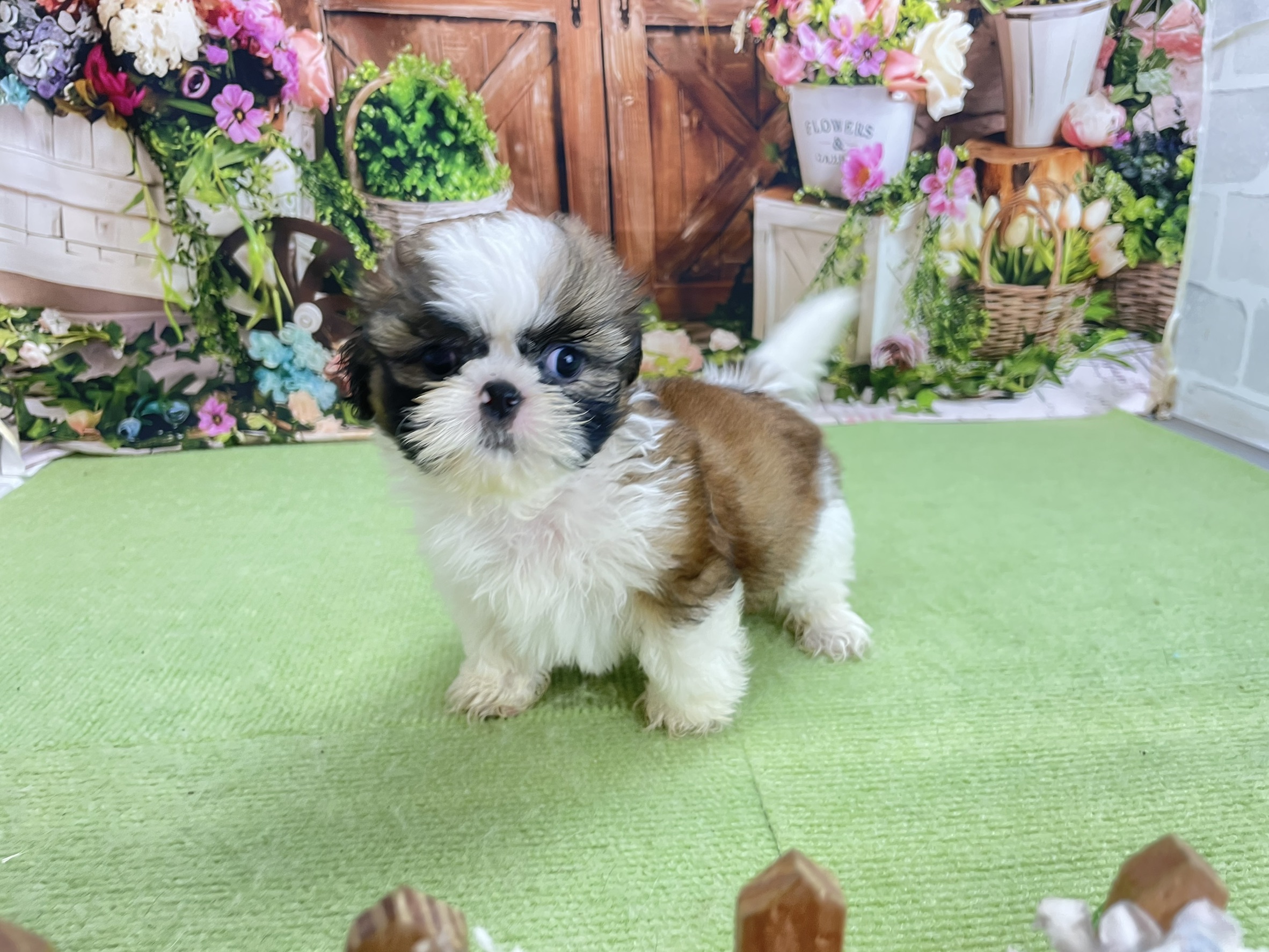 赤ちゃん写真2-2