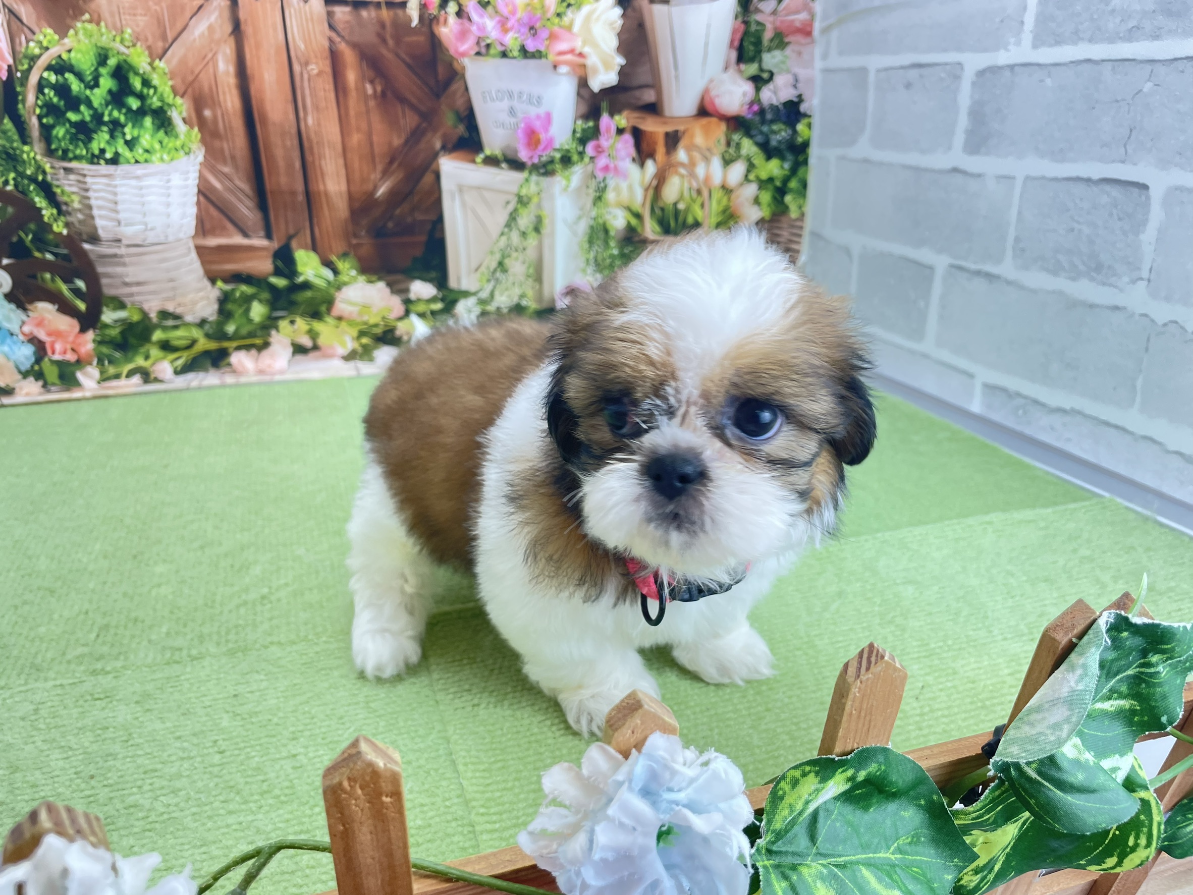 赤ちゃん写真3-2
