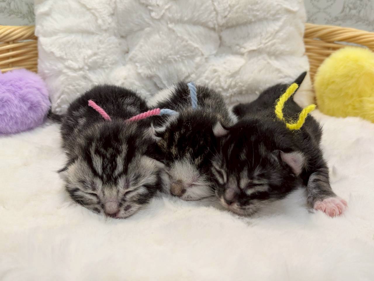 赤ちゃん写真1-3