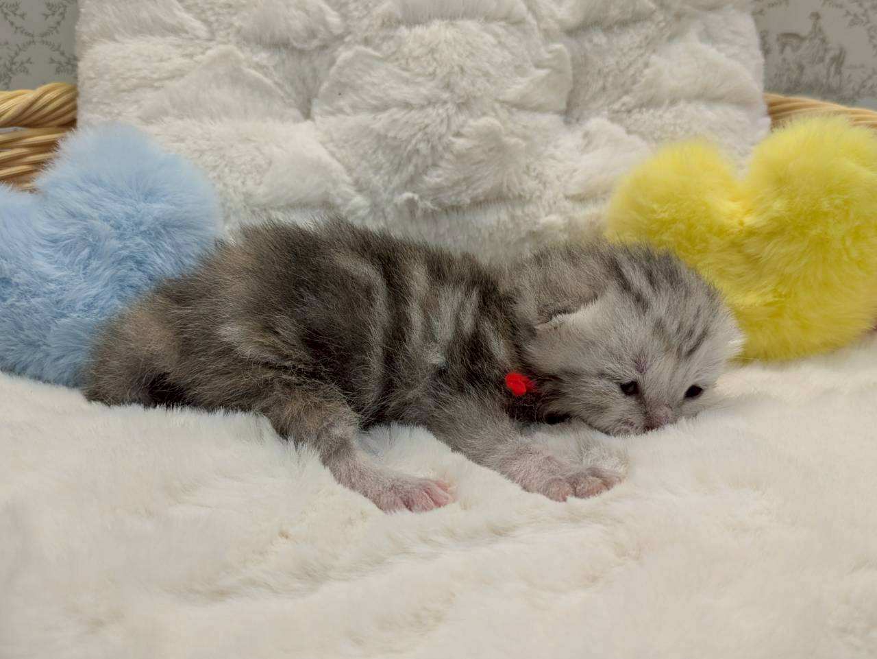 赤ちゃん写真1-2