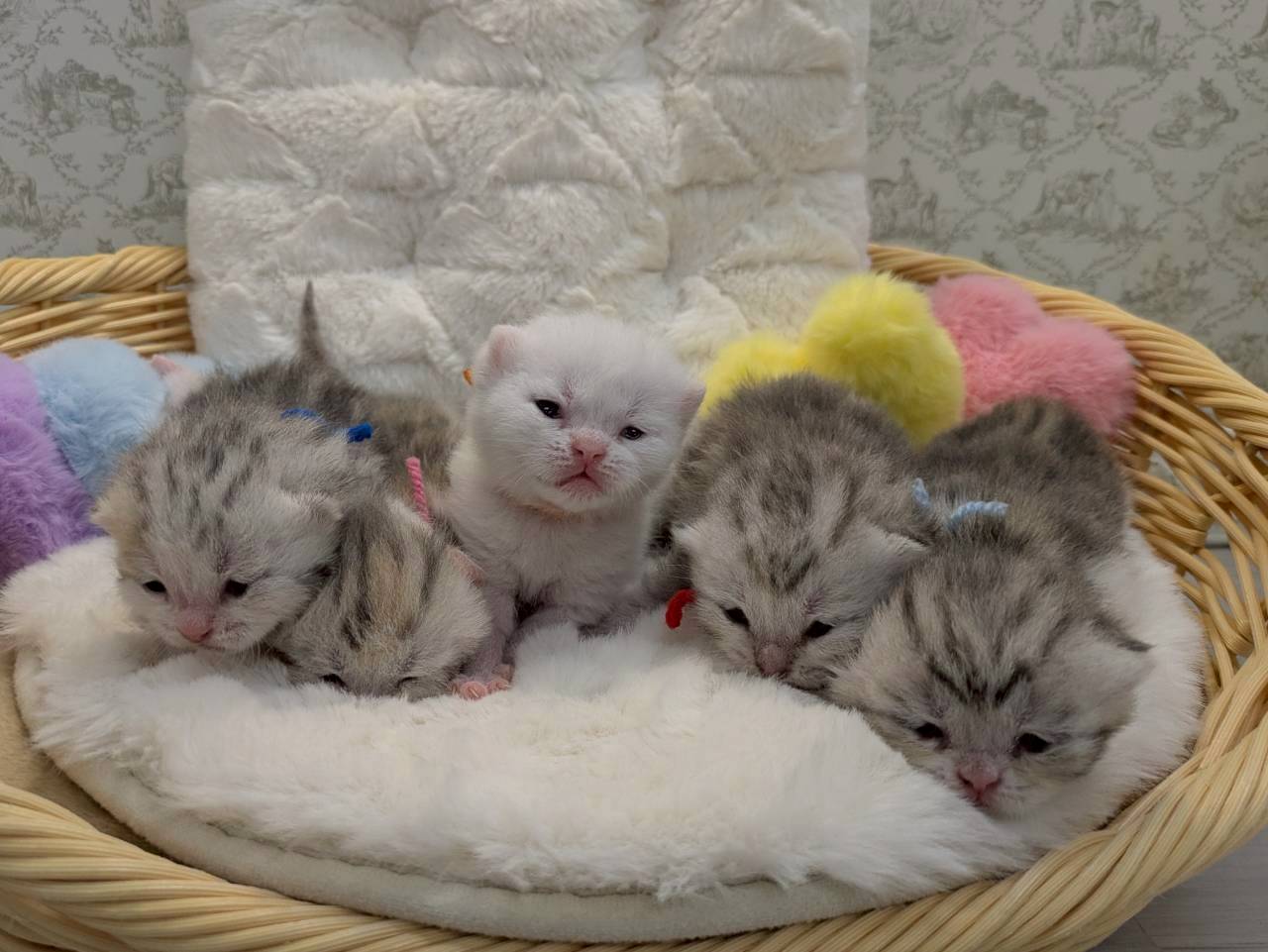 赤ちゃん写真1-3