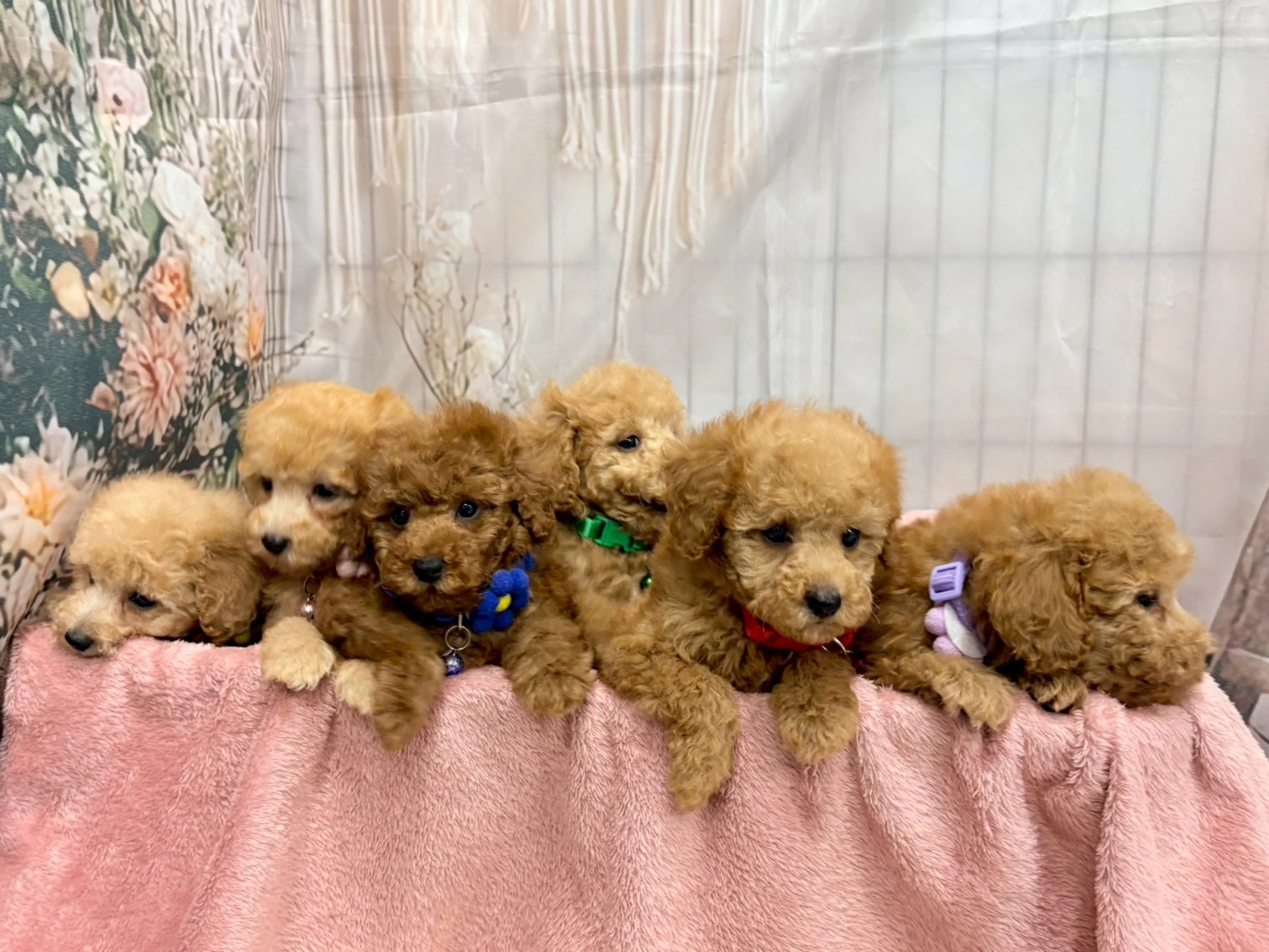 赤ちゃん写真3-3
