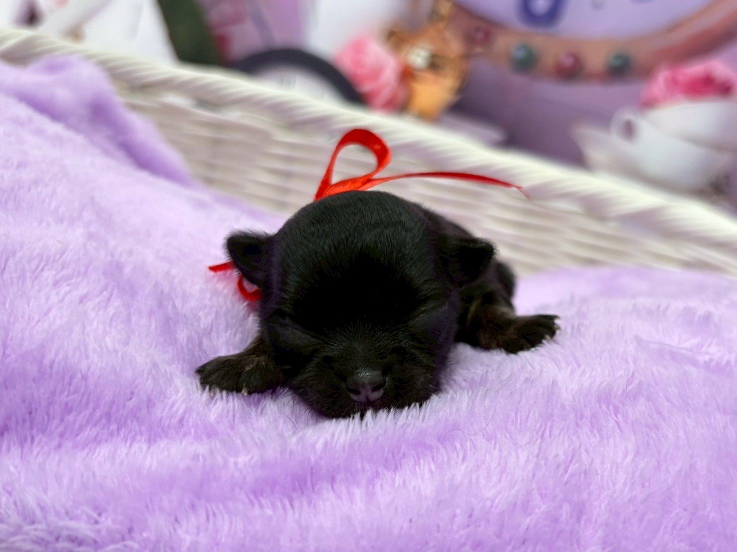 赤ちゃん写真1-1