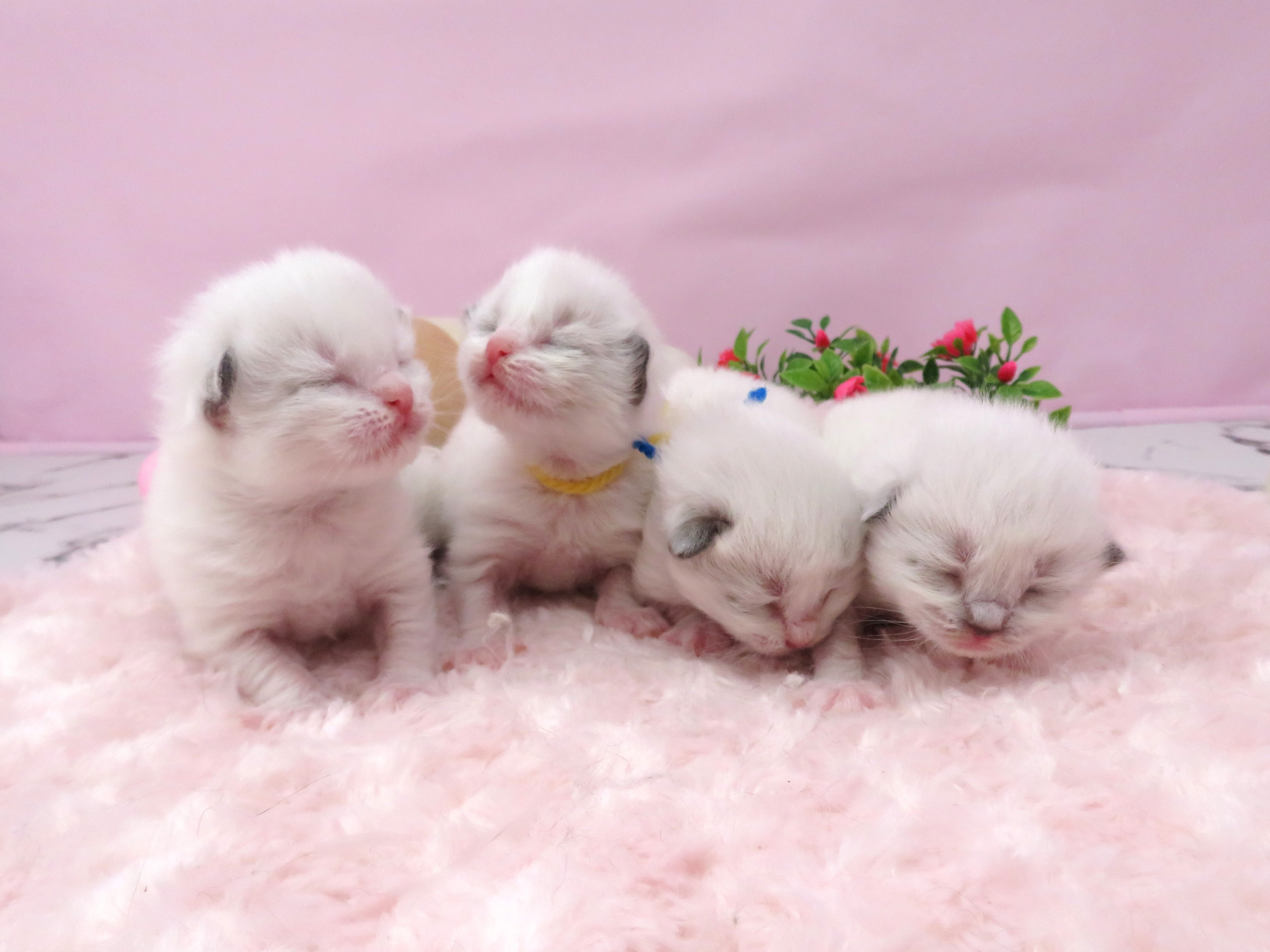 赤ちゃん写真1-3