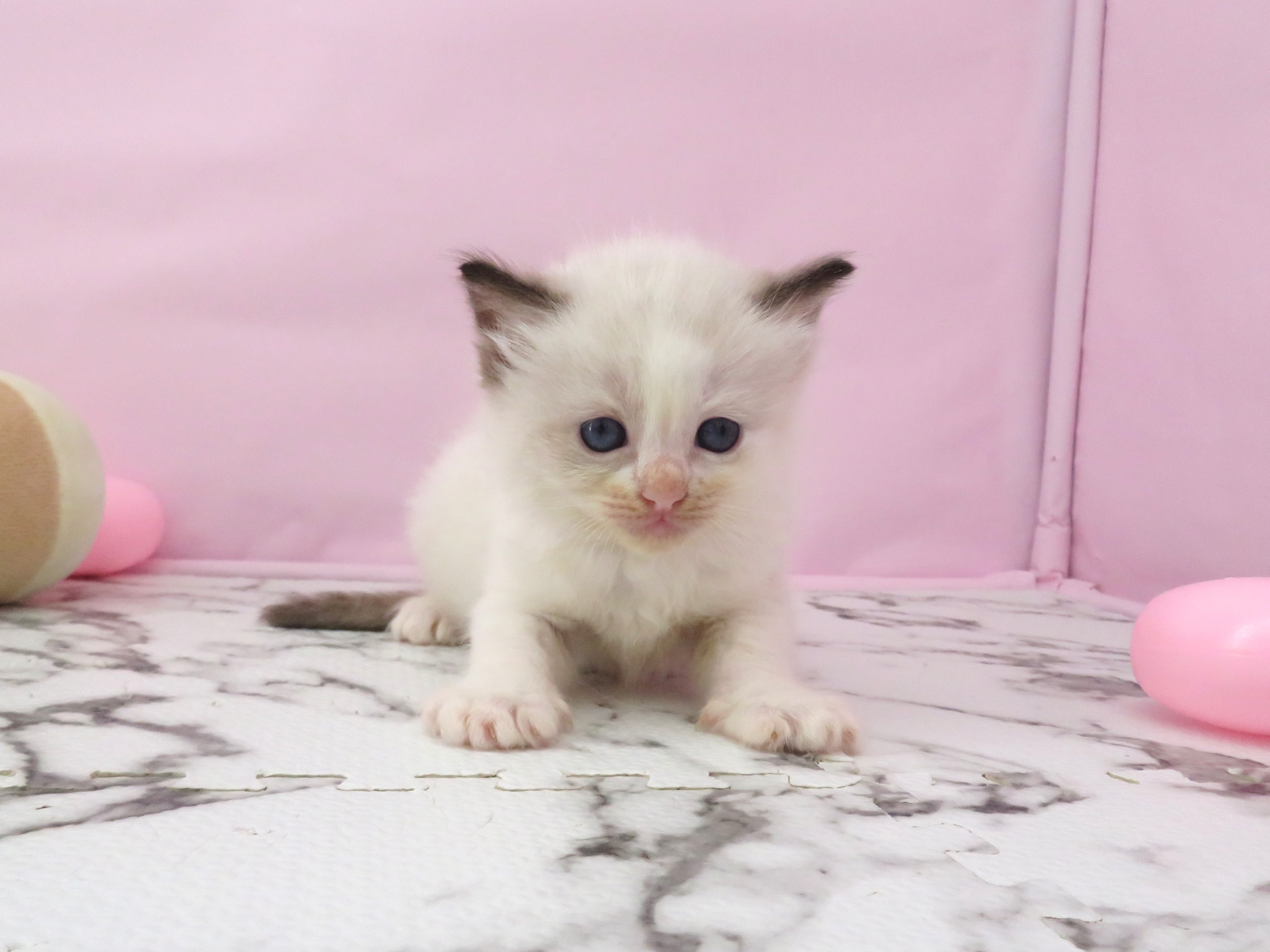 赤ちゃん写真2-1