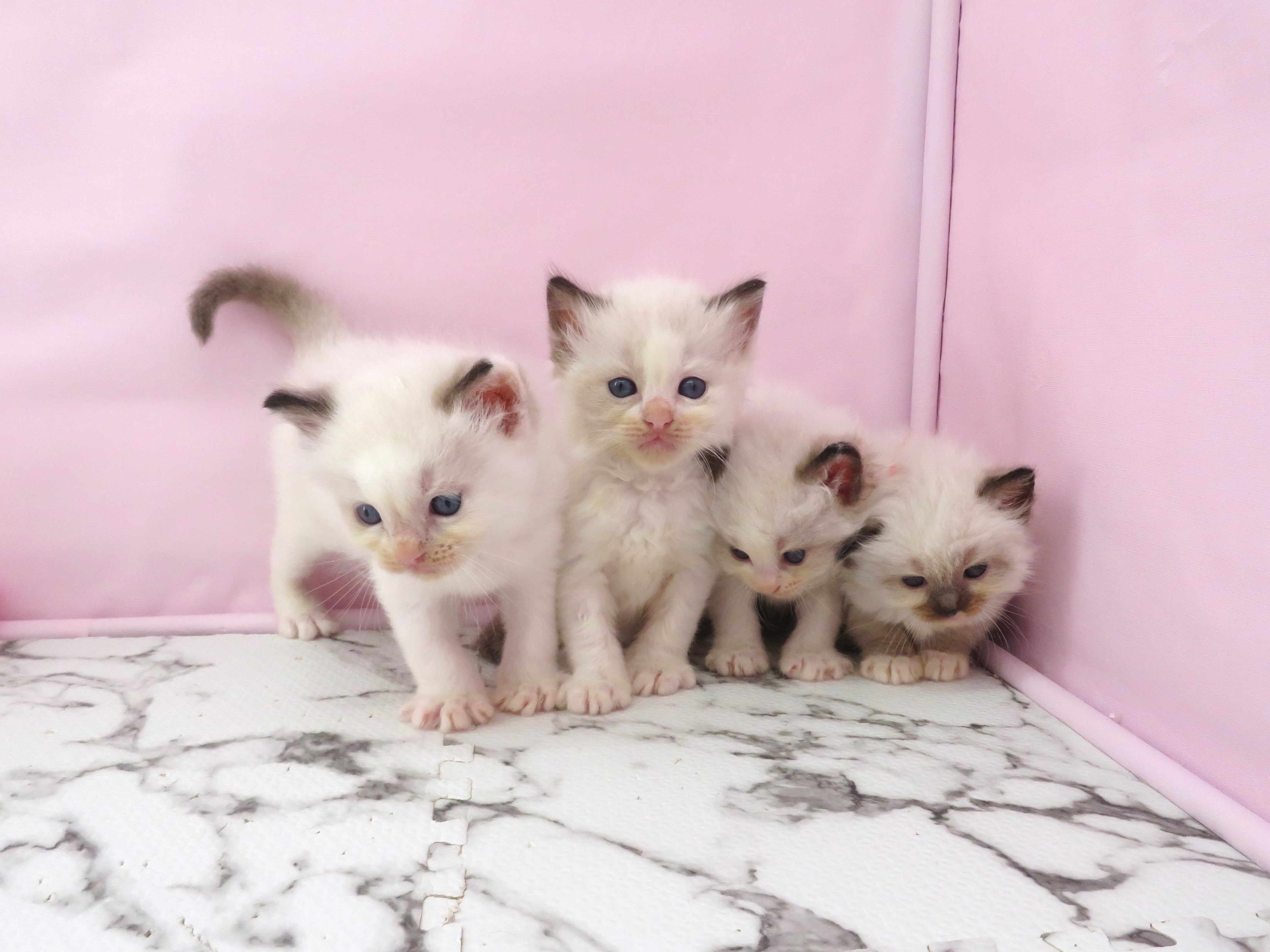 赤ちゃん写真2-3