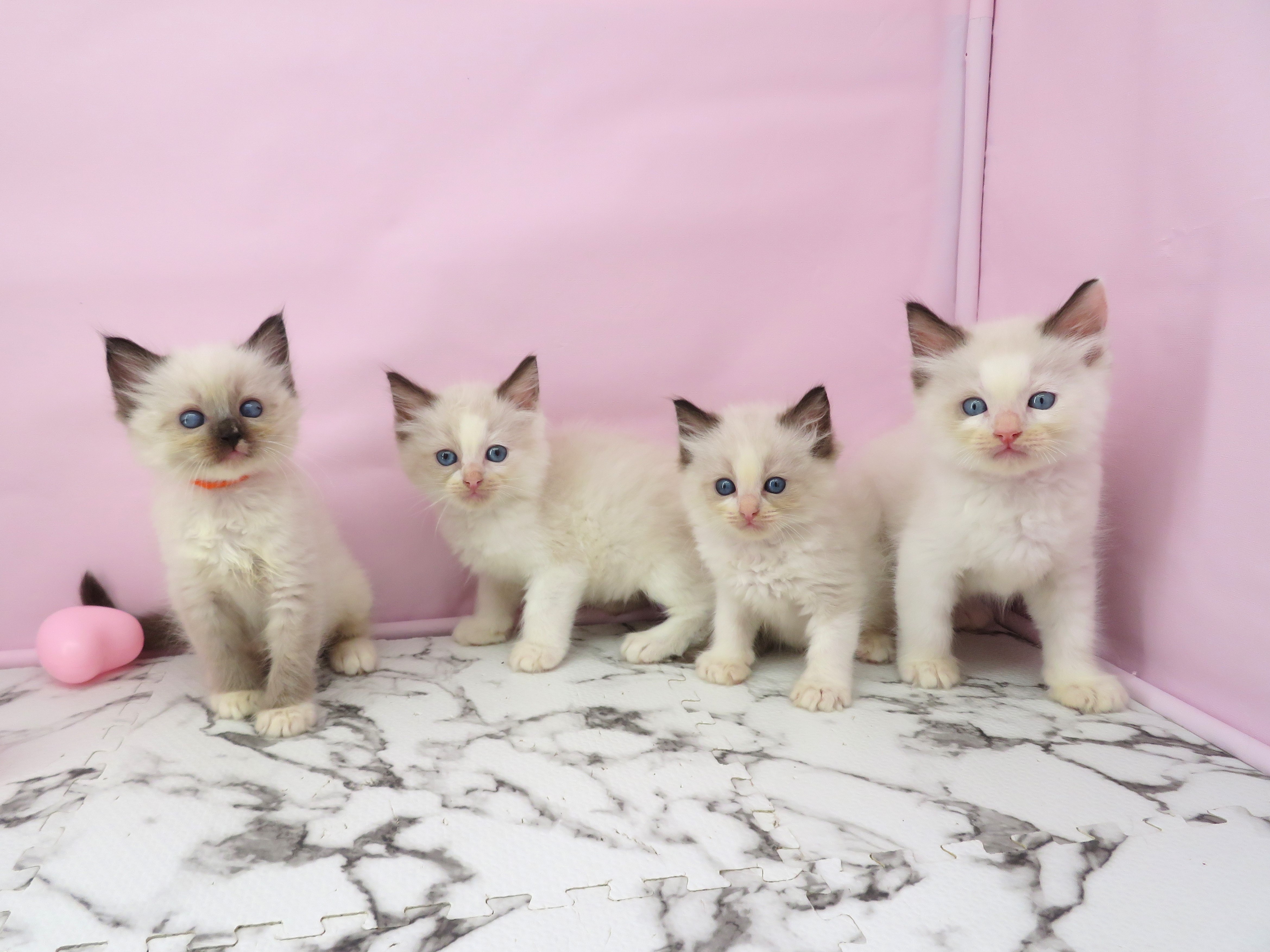 赤ちゃん写真3-3