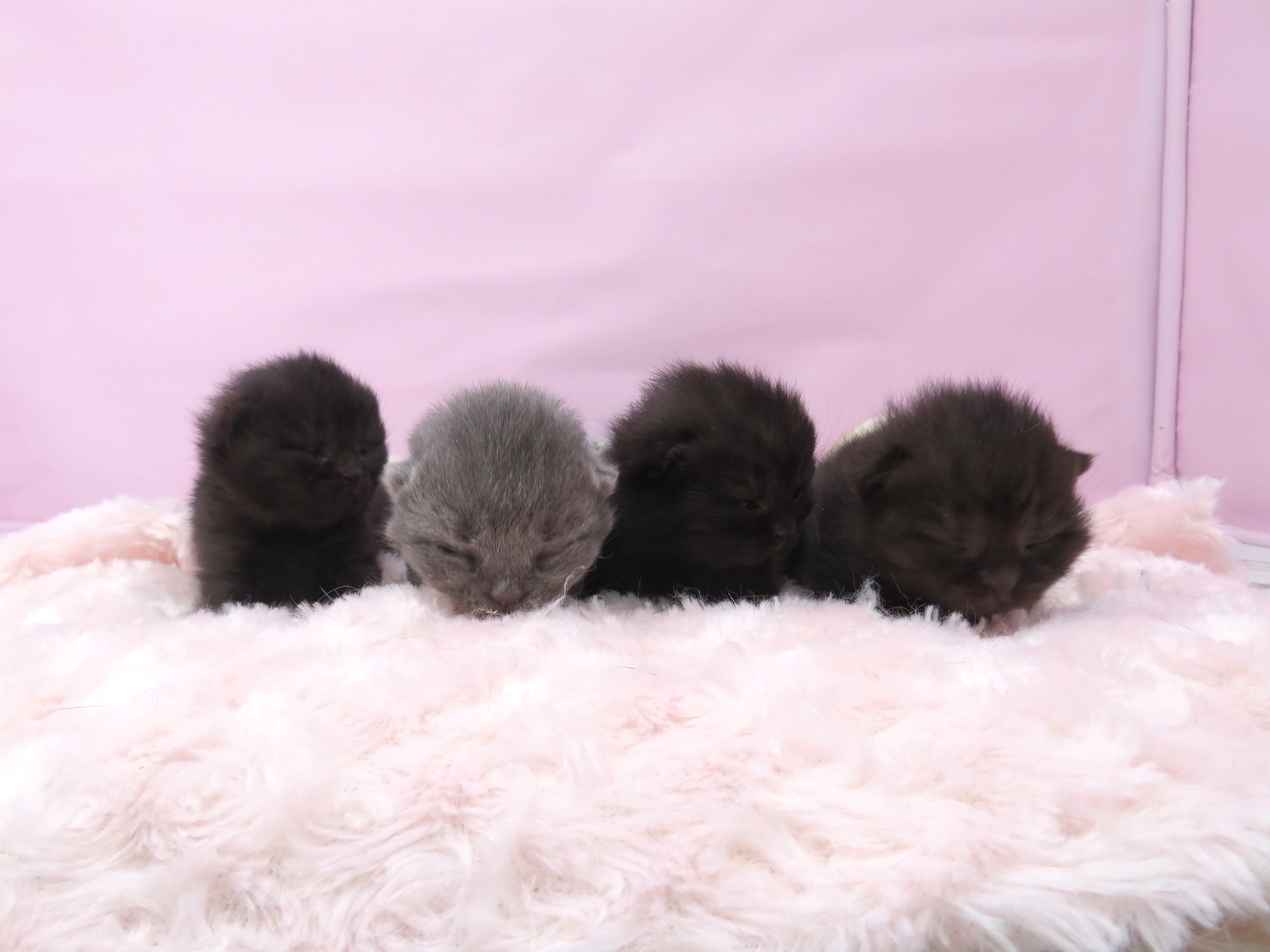 赤ちゃん写真1-3