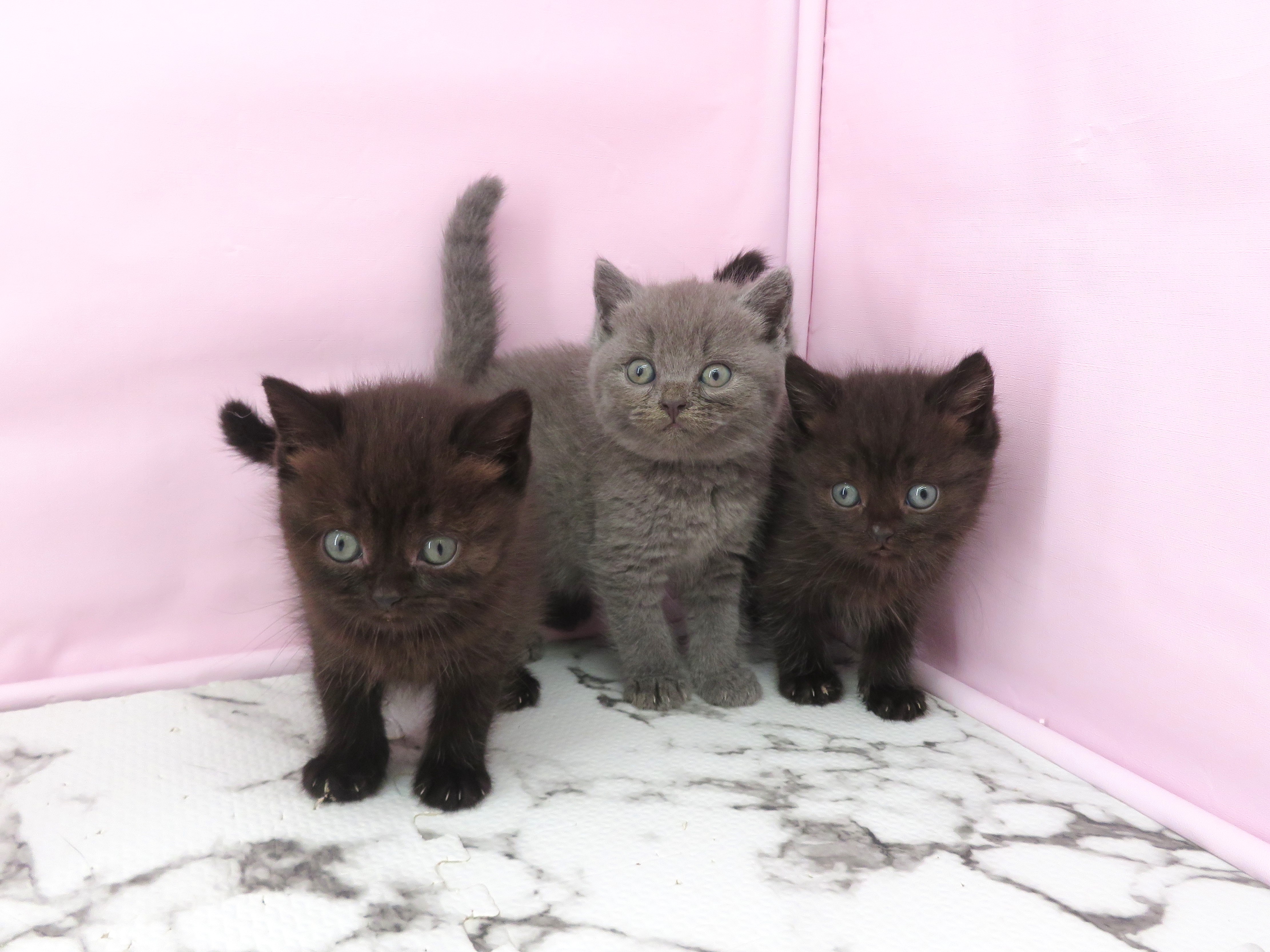 赤ちゃん写真2-3