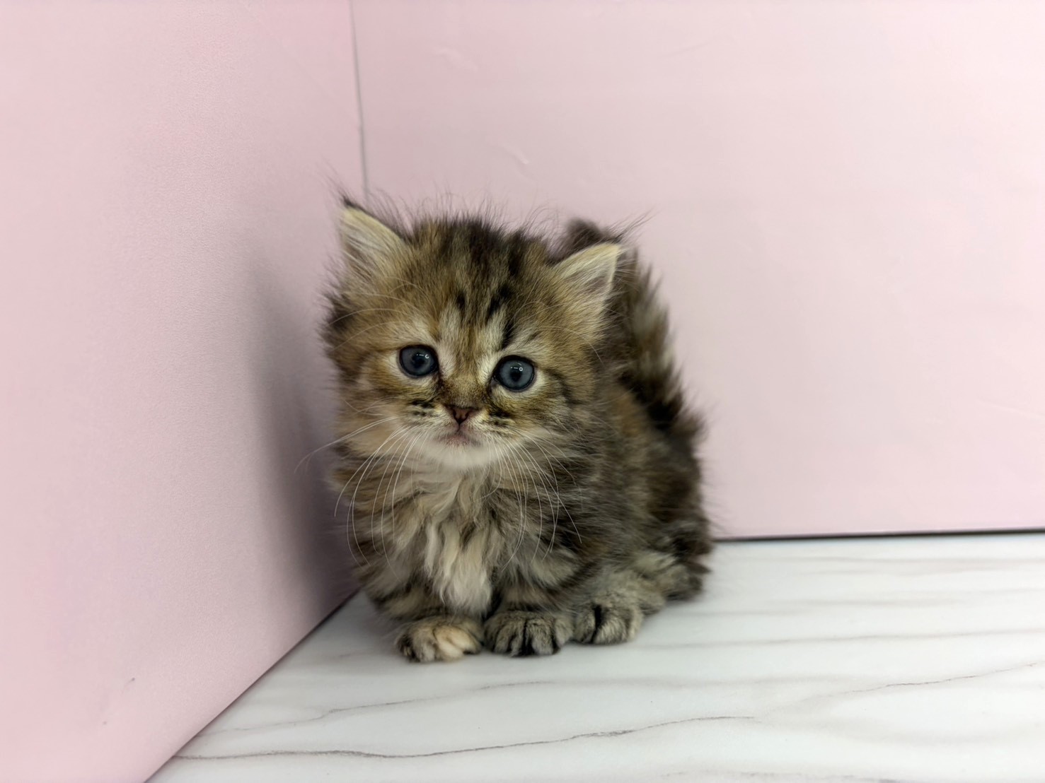 赤ちゃん写真2-1