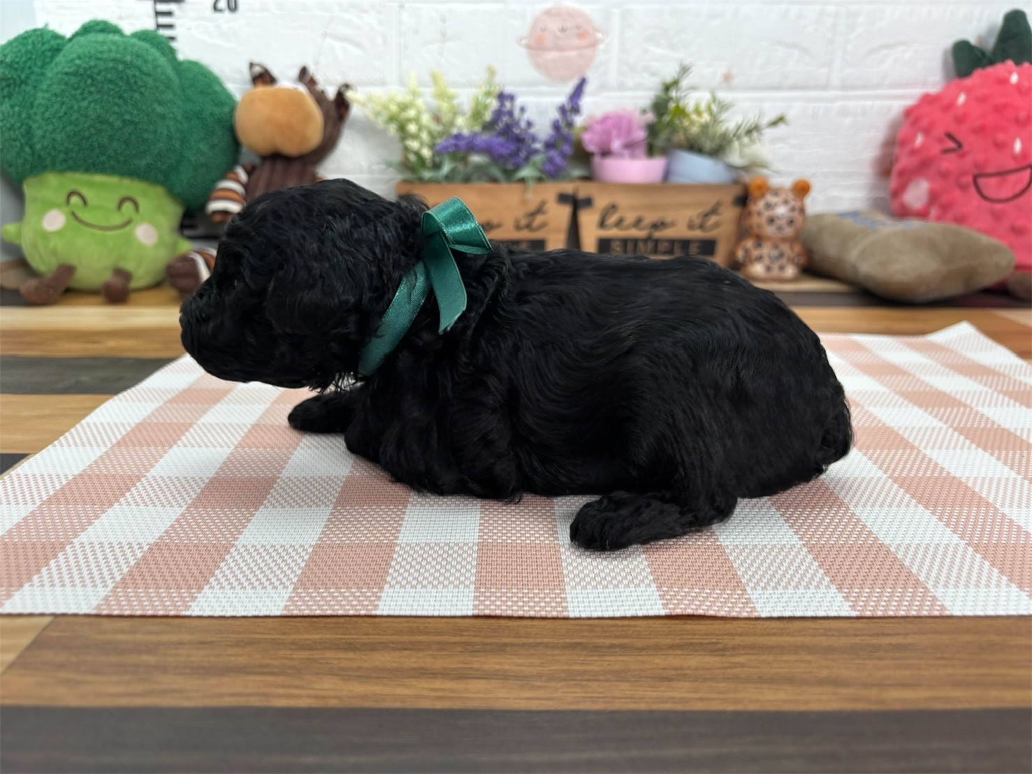 赤ちゃん写真2-2