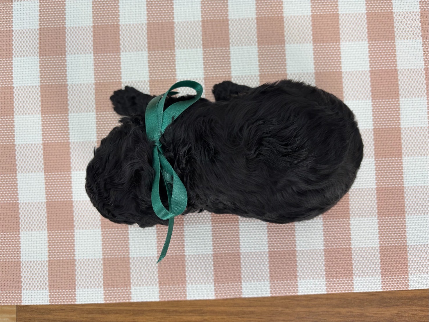 赤ちゃん写真2-3