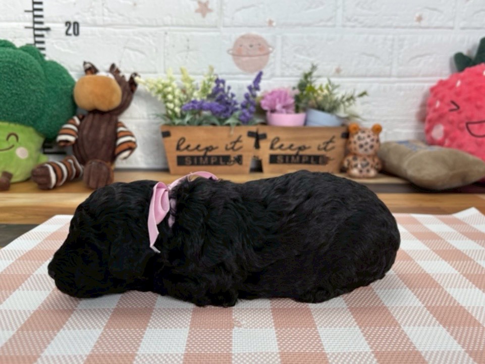 赤ちゃん写真2-2