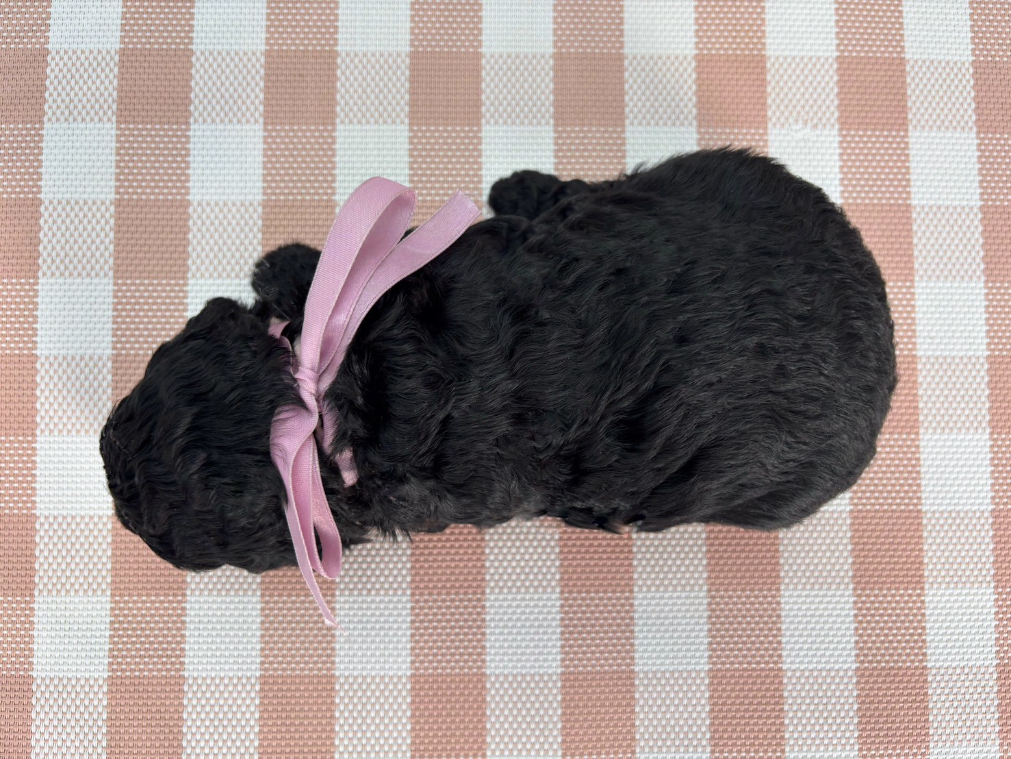赤ちゃん写真2-3