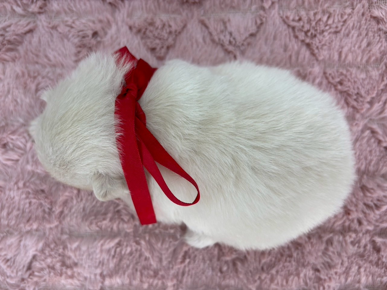 赤ちゃん写真2-3