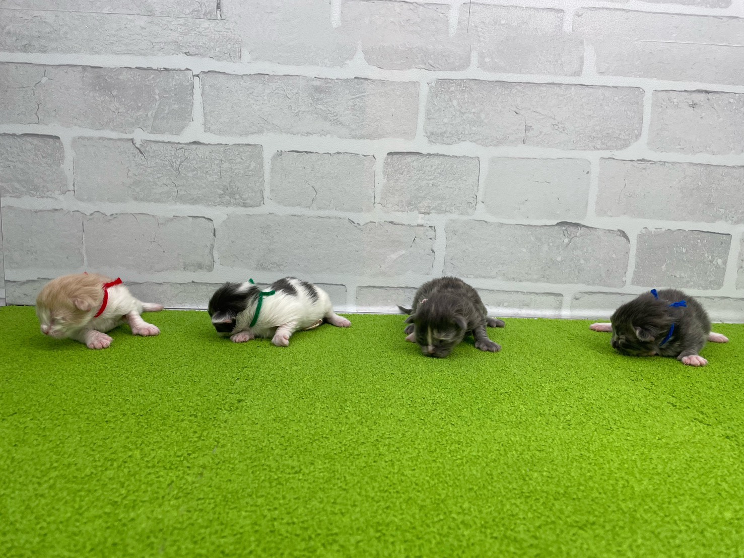 赤ちゃん写真1-3
