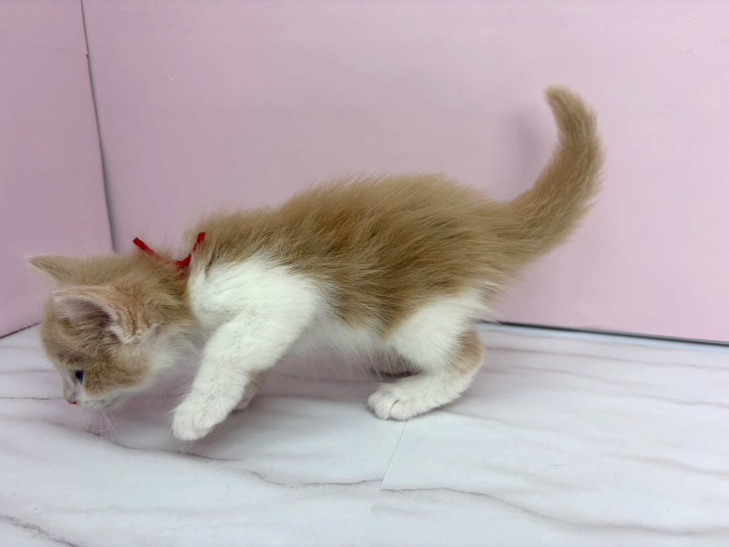 赤ちゃん写真2-2