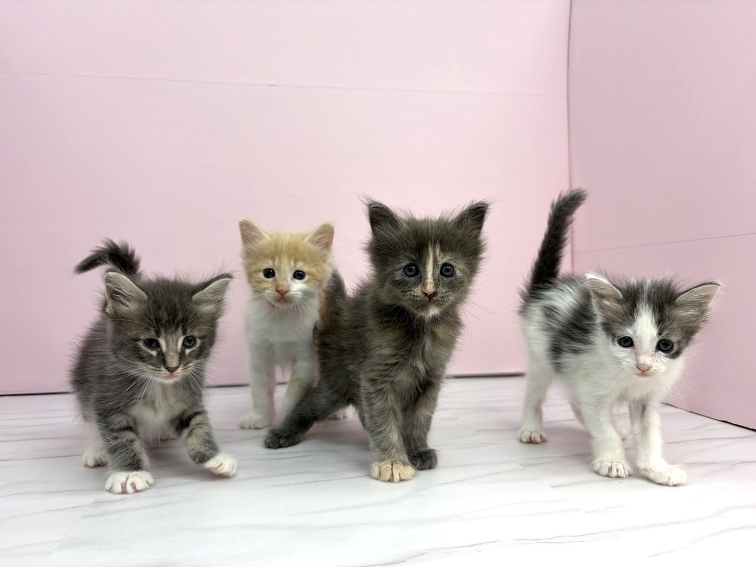 赤ちゃん写真2-3