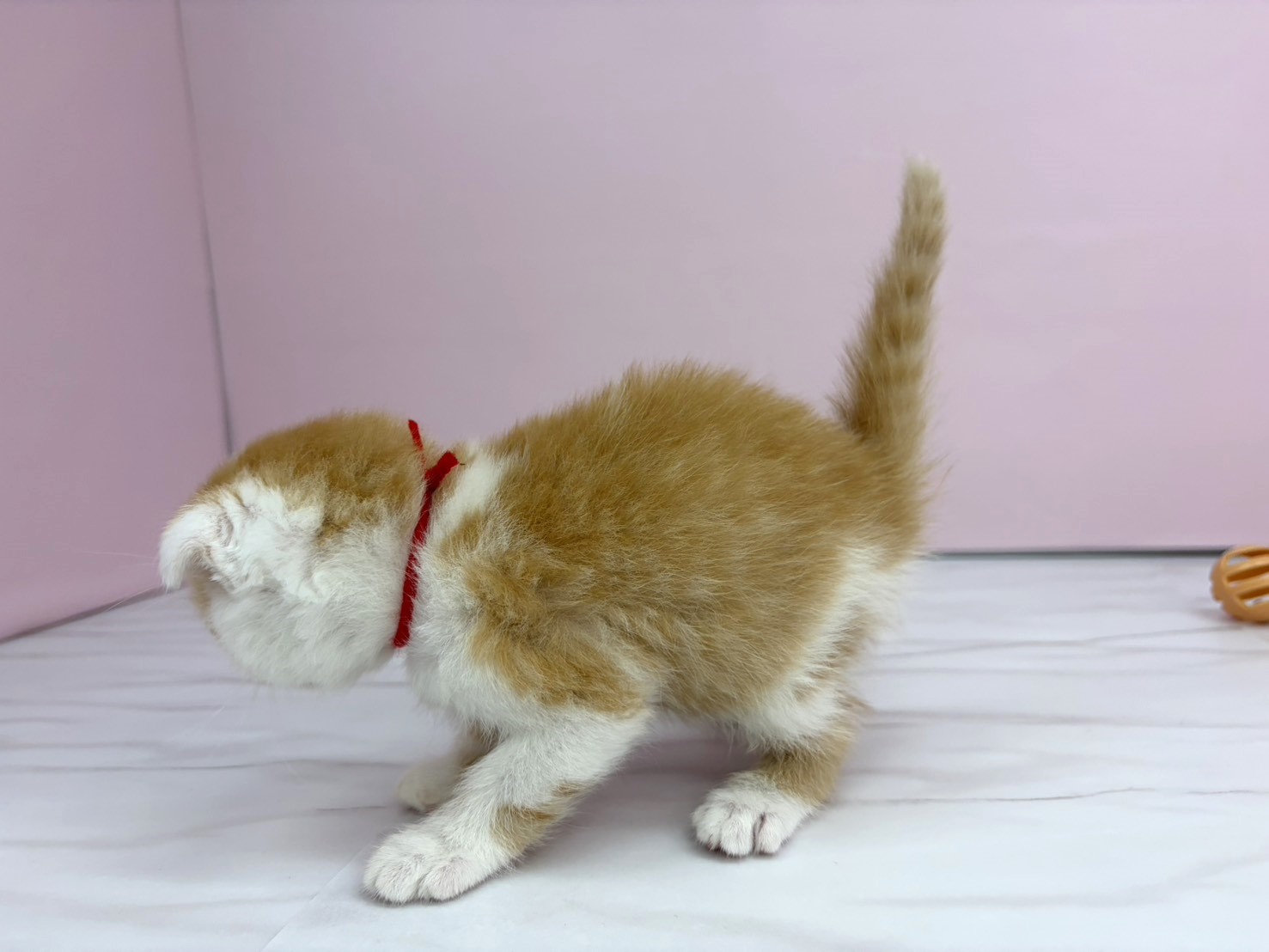赤ちゃん写真2-2